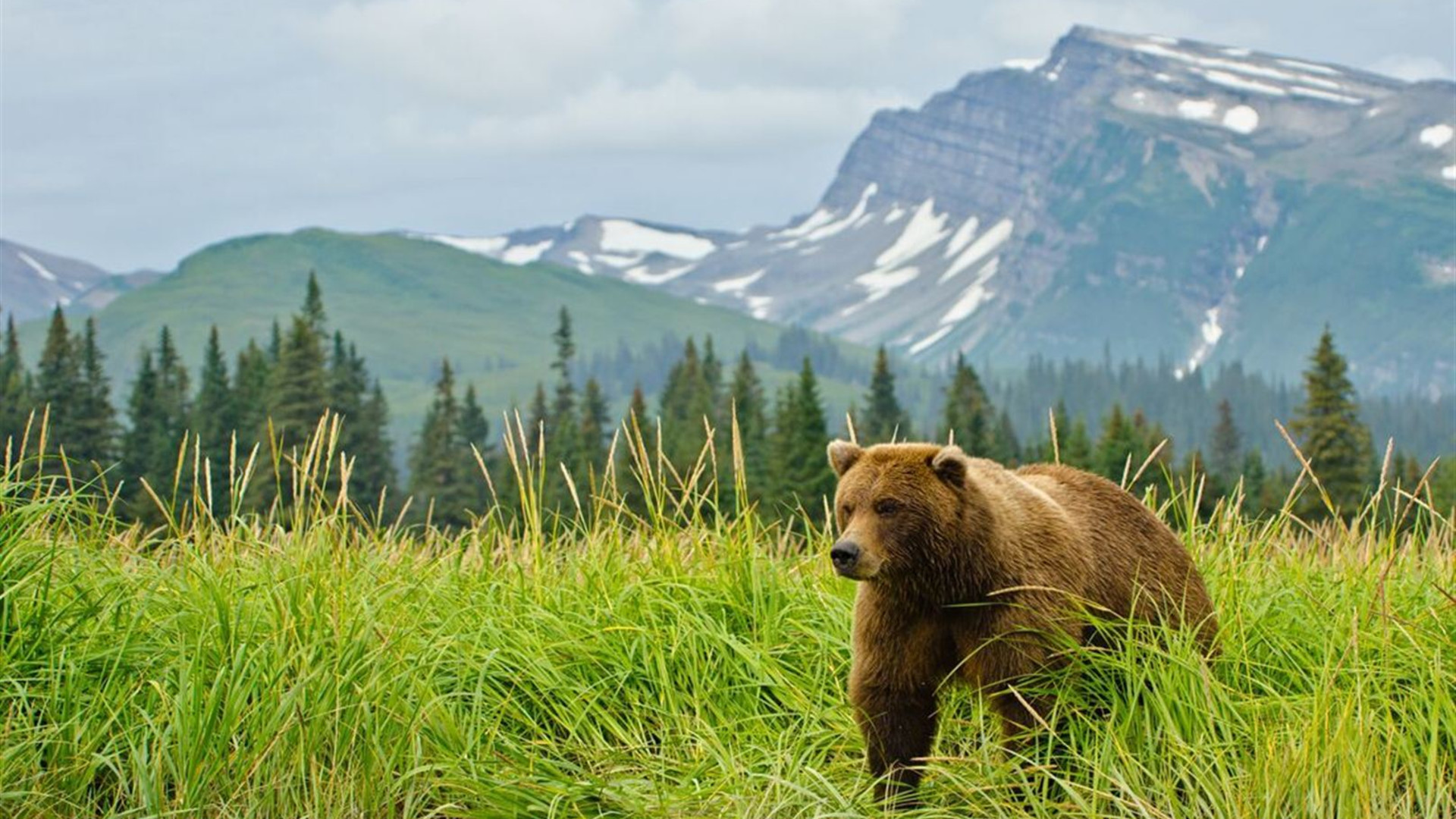 Alaska Discovery		