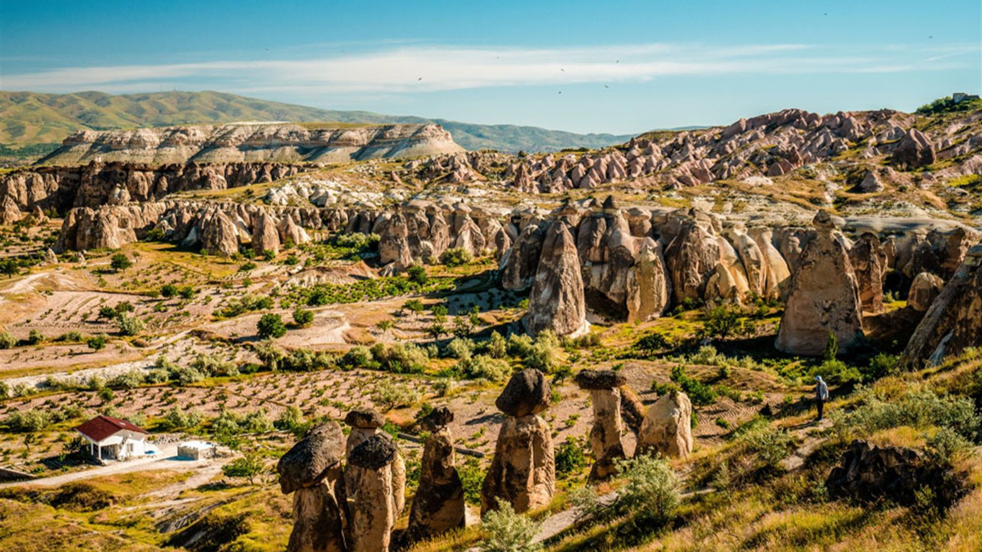 Treasures of Turkiye