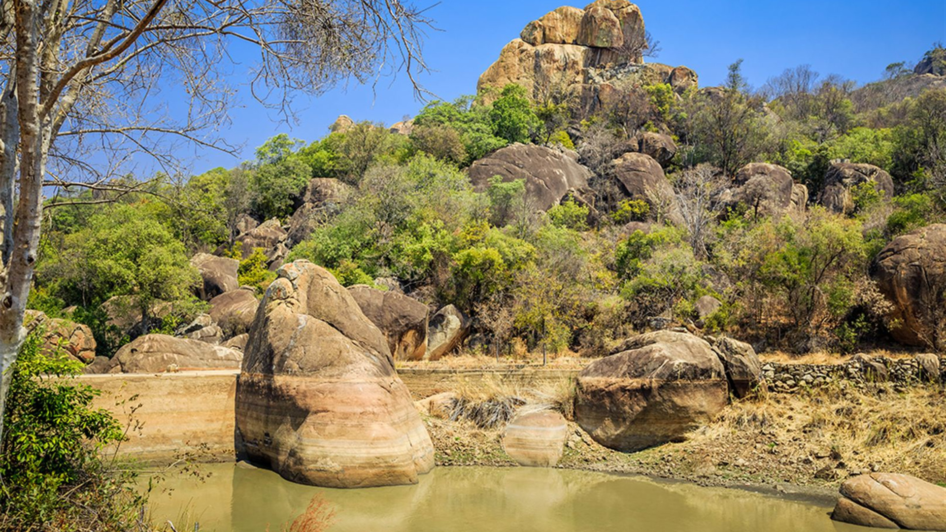 Stone Town to Vic Falls