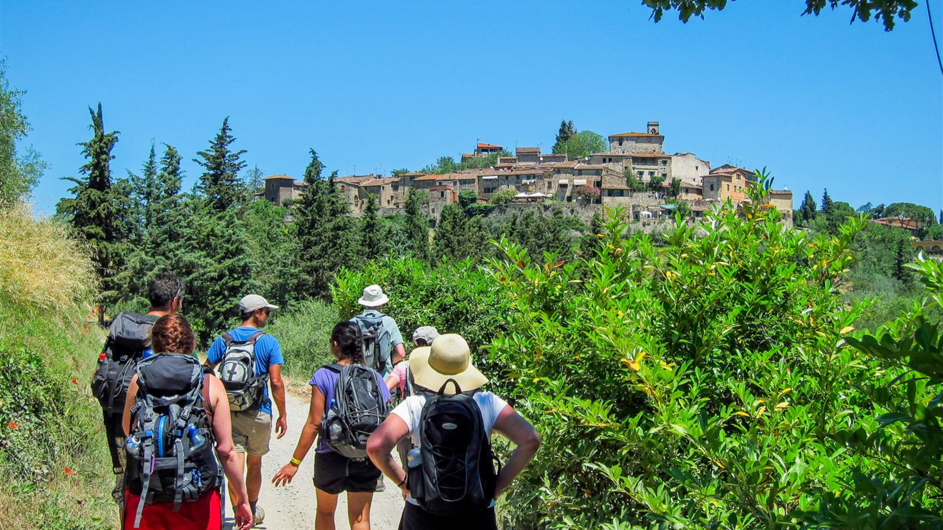 Discover Tuscany: Culture, Food & Wine