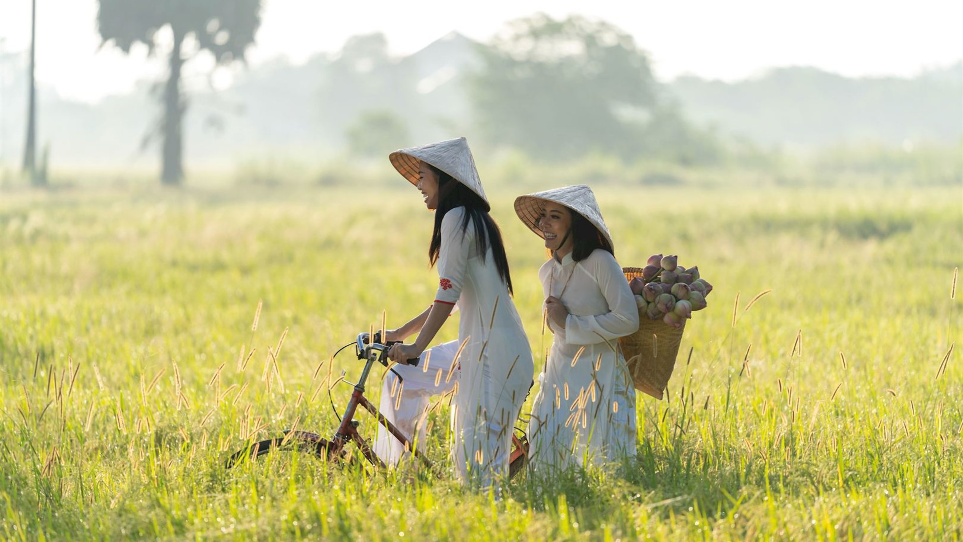 Spirit of Vietnam