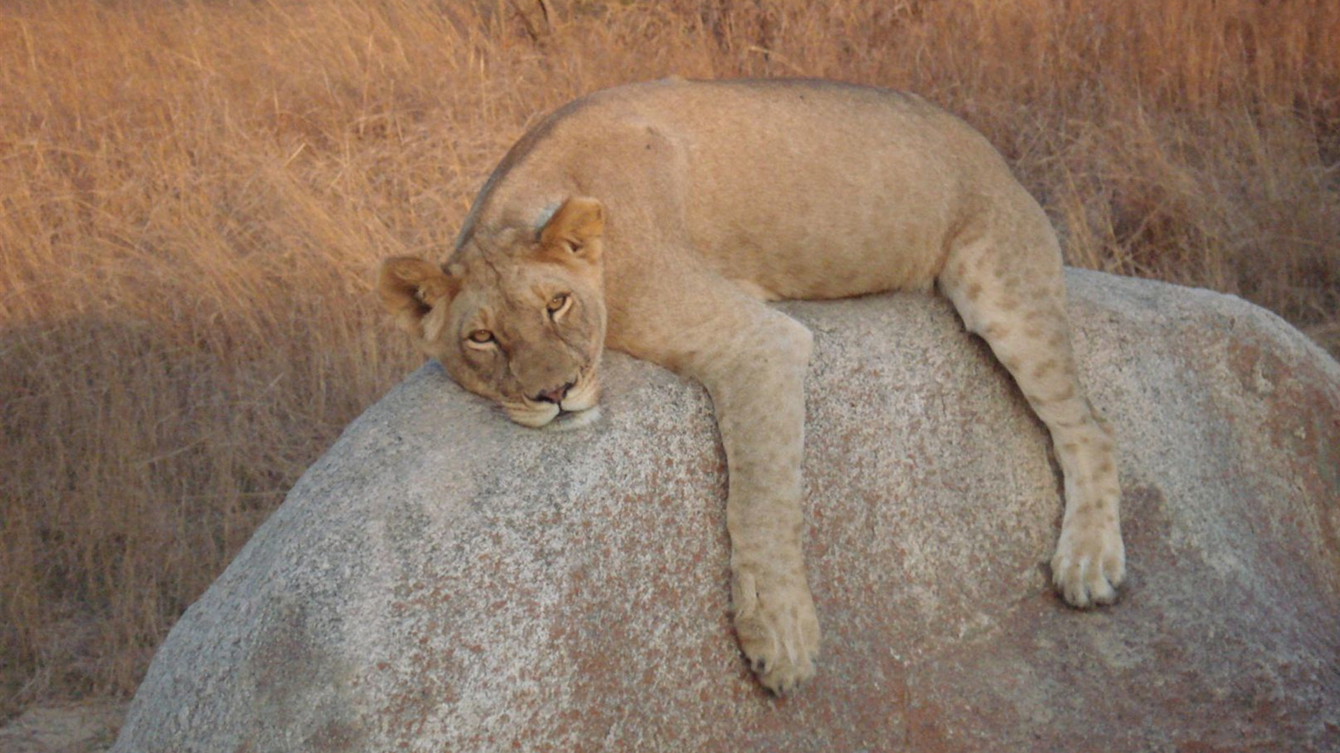Johannesburg to Zanzibar