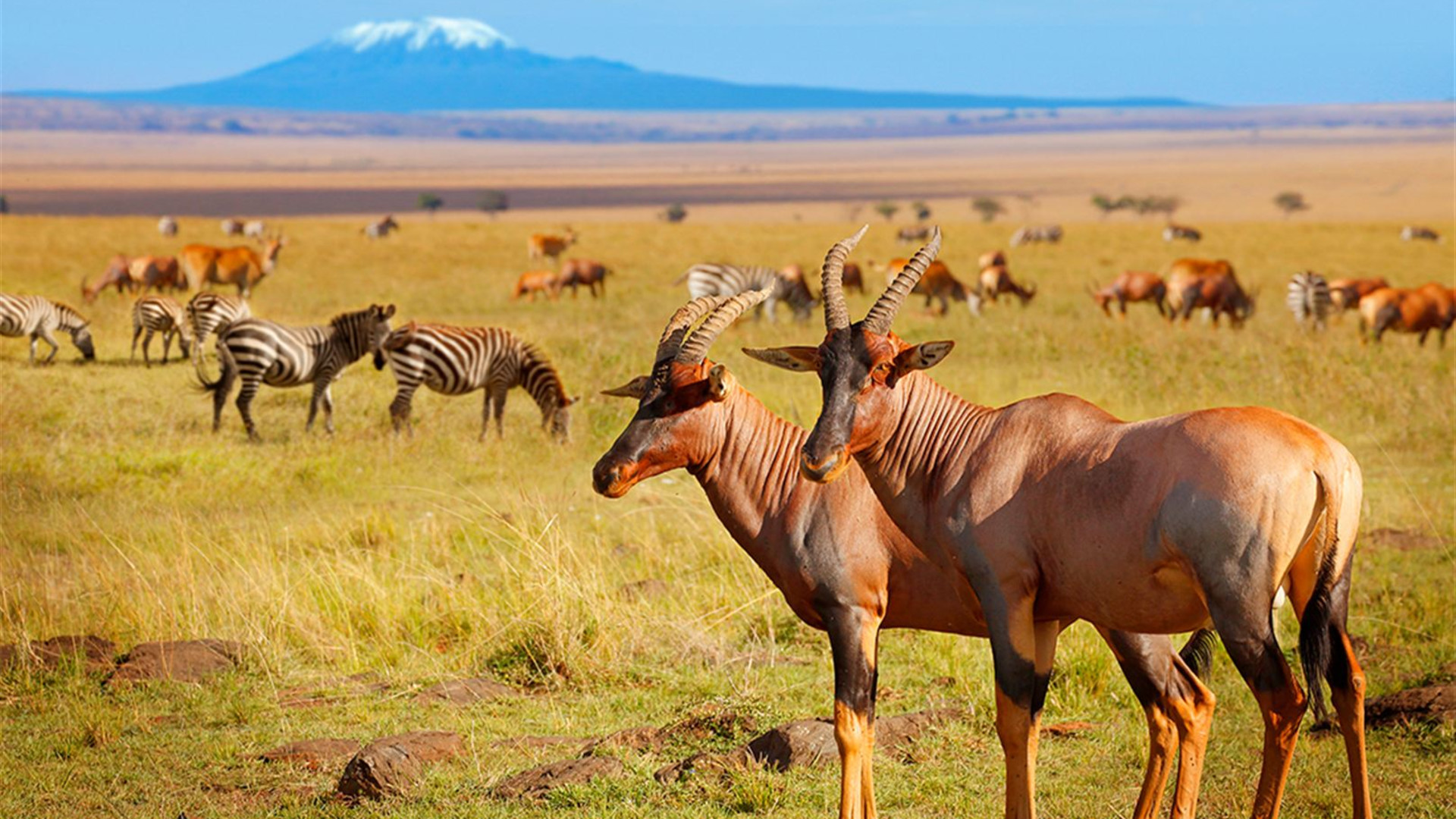 The Maasai Heartlands