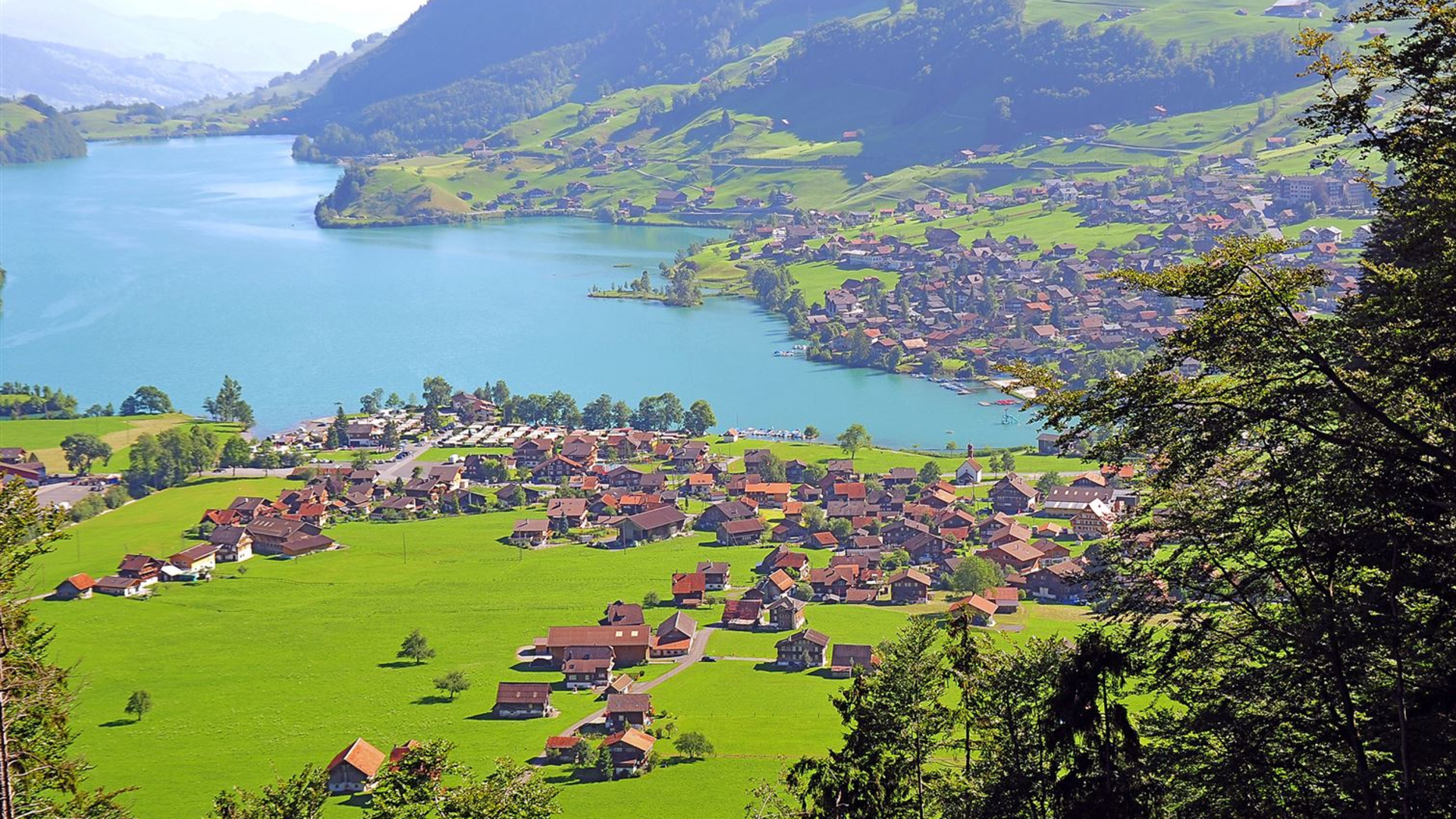 Alpine Countries