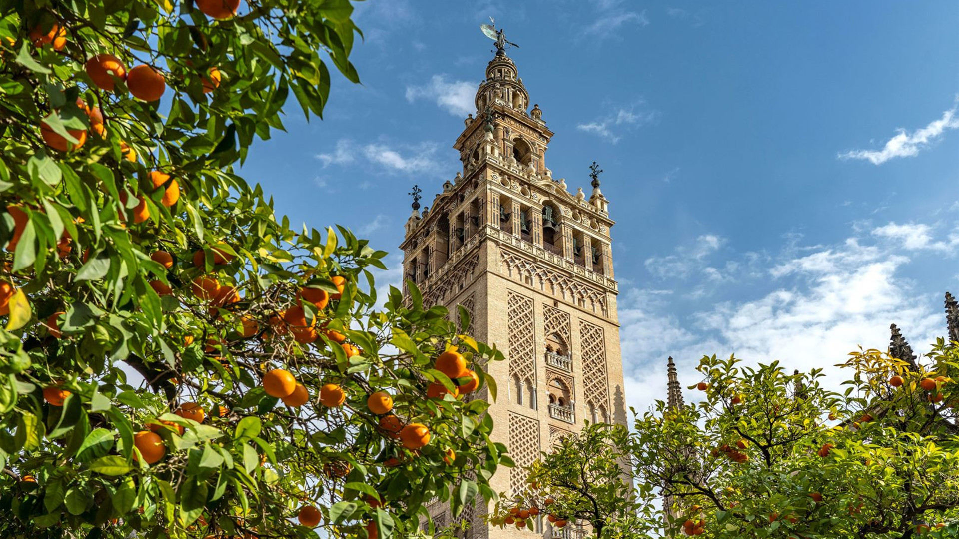 Highlights of Spain