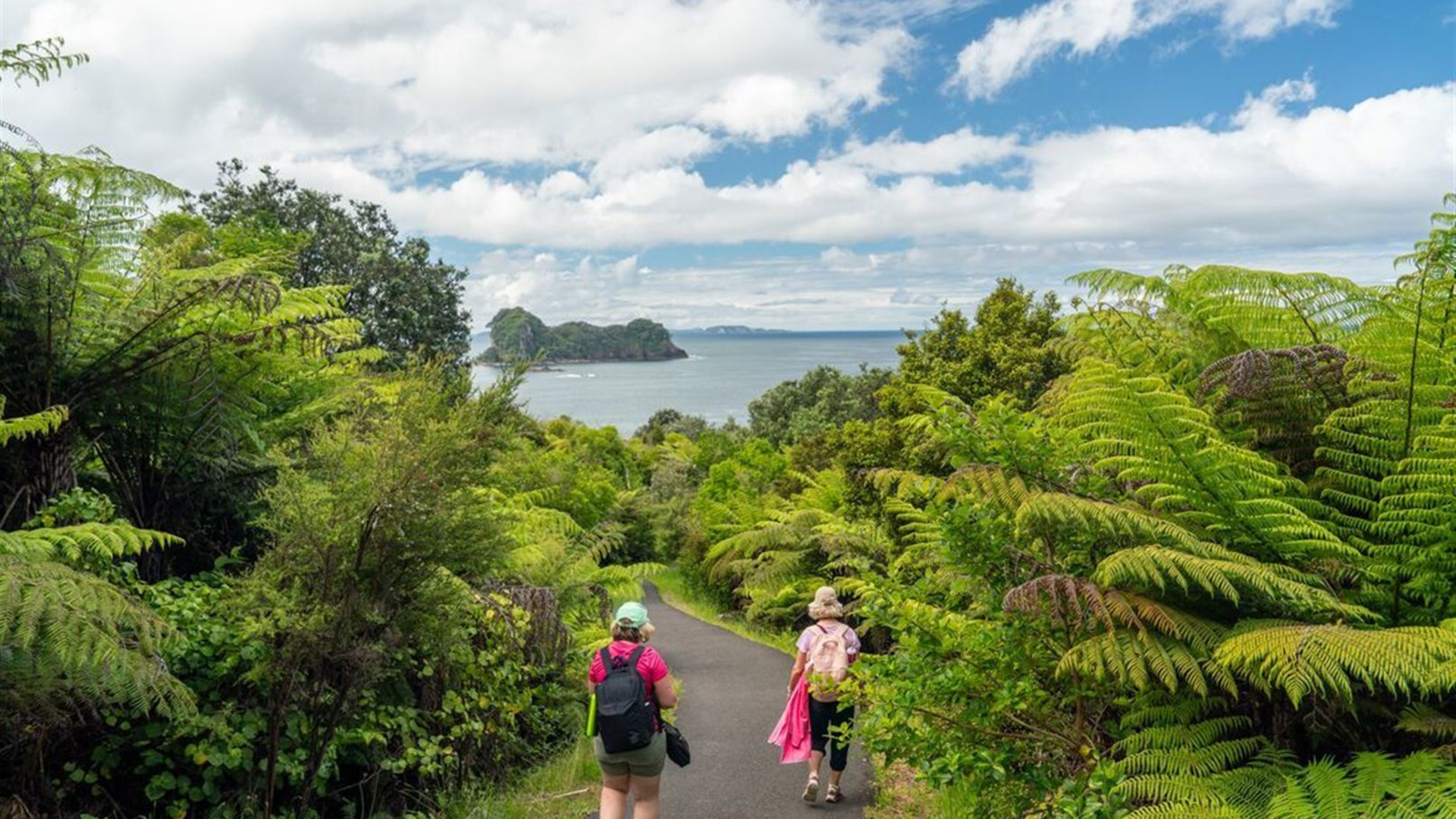 New Zealand Northern Trail