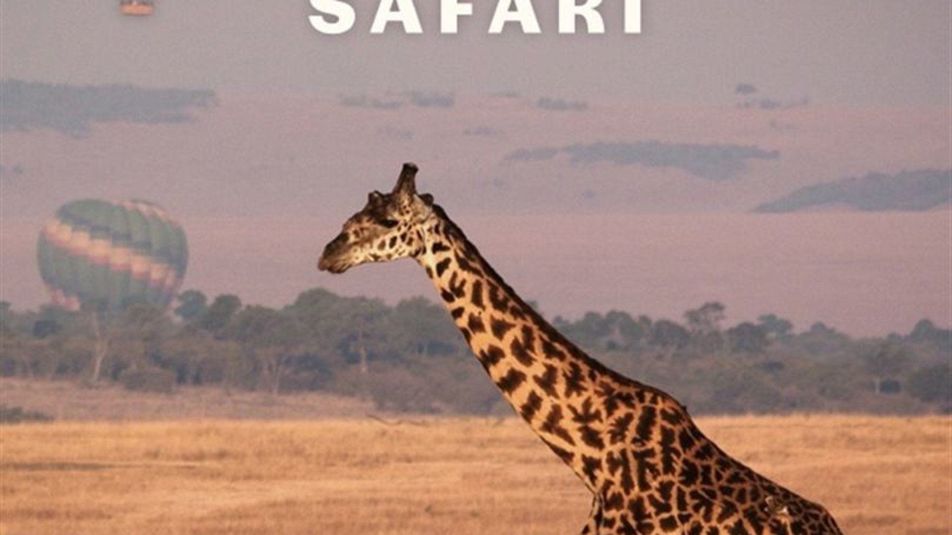 Kenya Safari