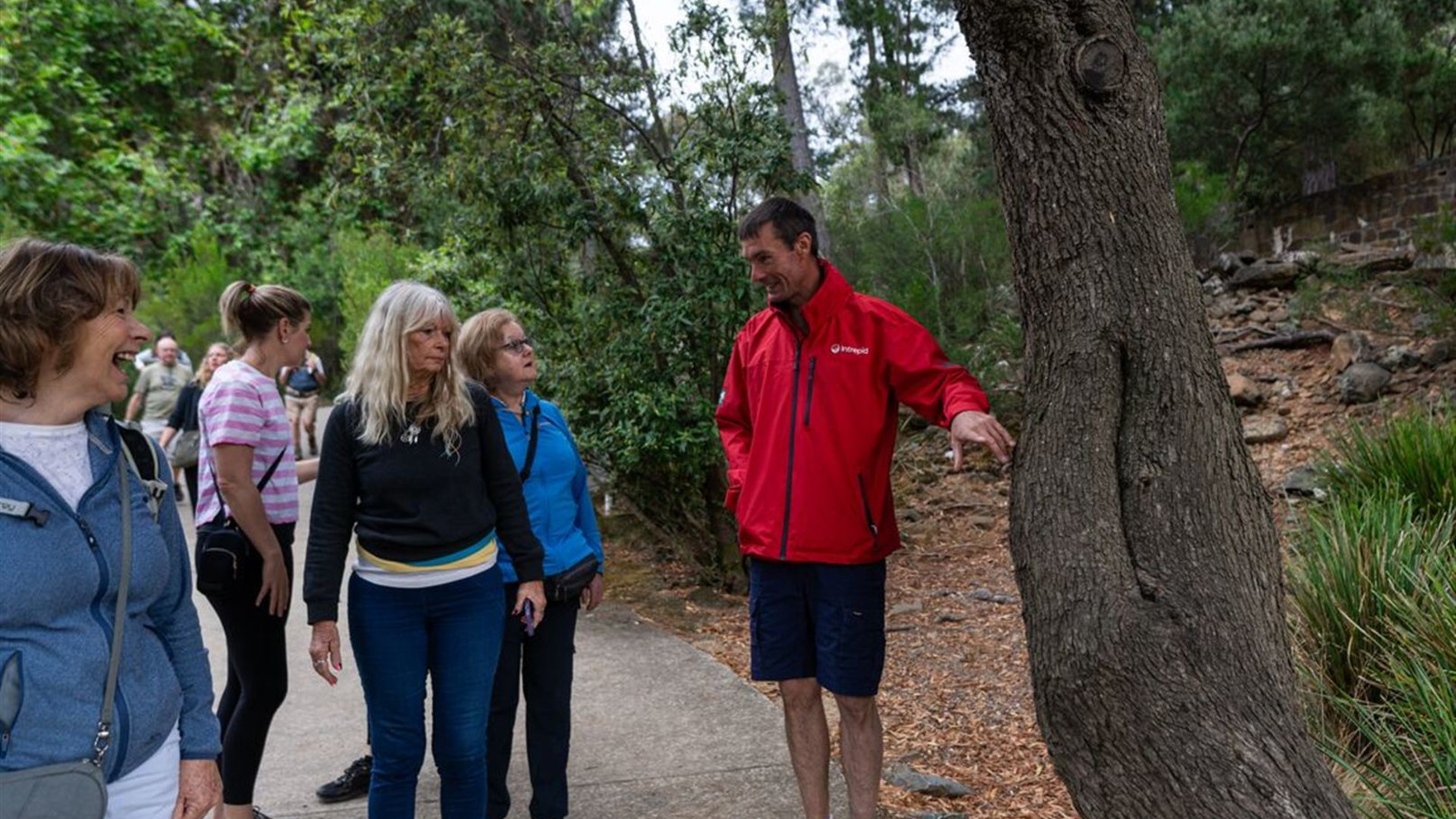Walk Tasmania's Tarkine & Cradle Mountain