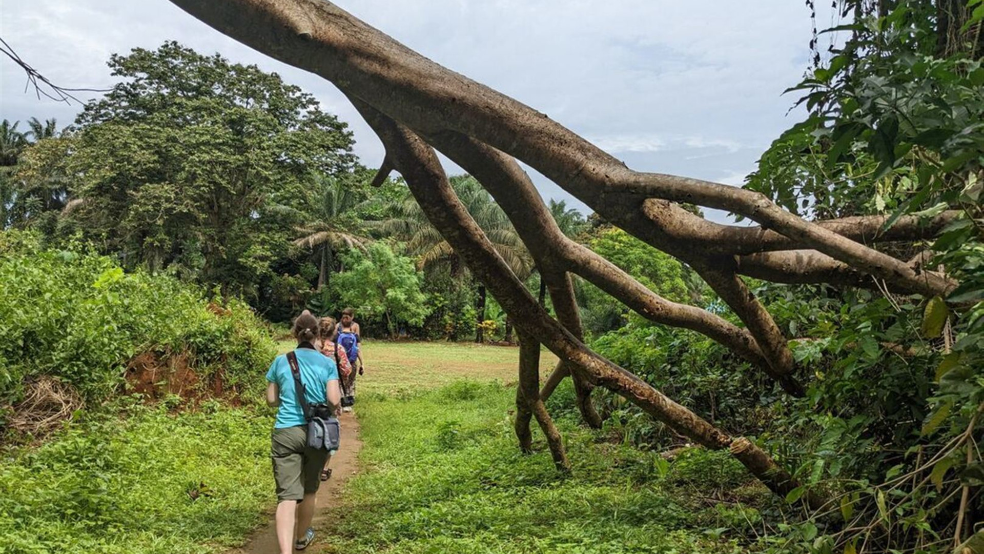 Sierra Leone Adventure: History, Culture & Nature