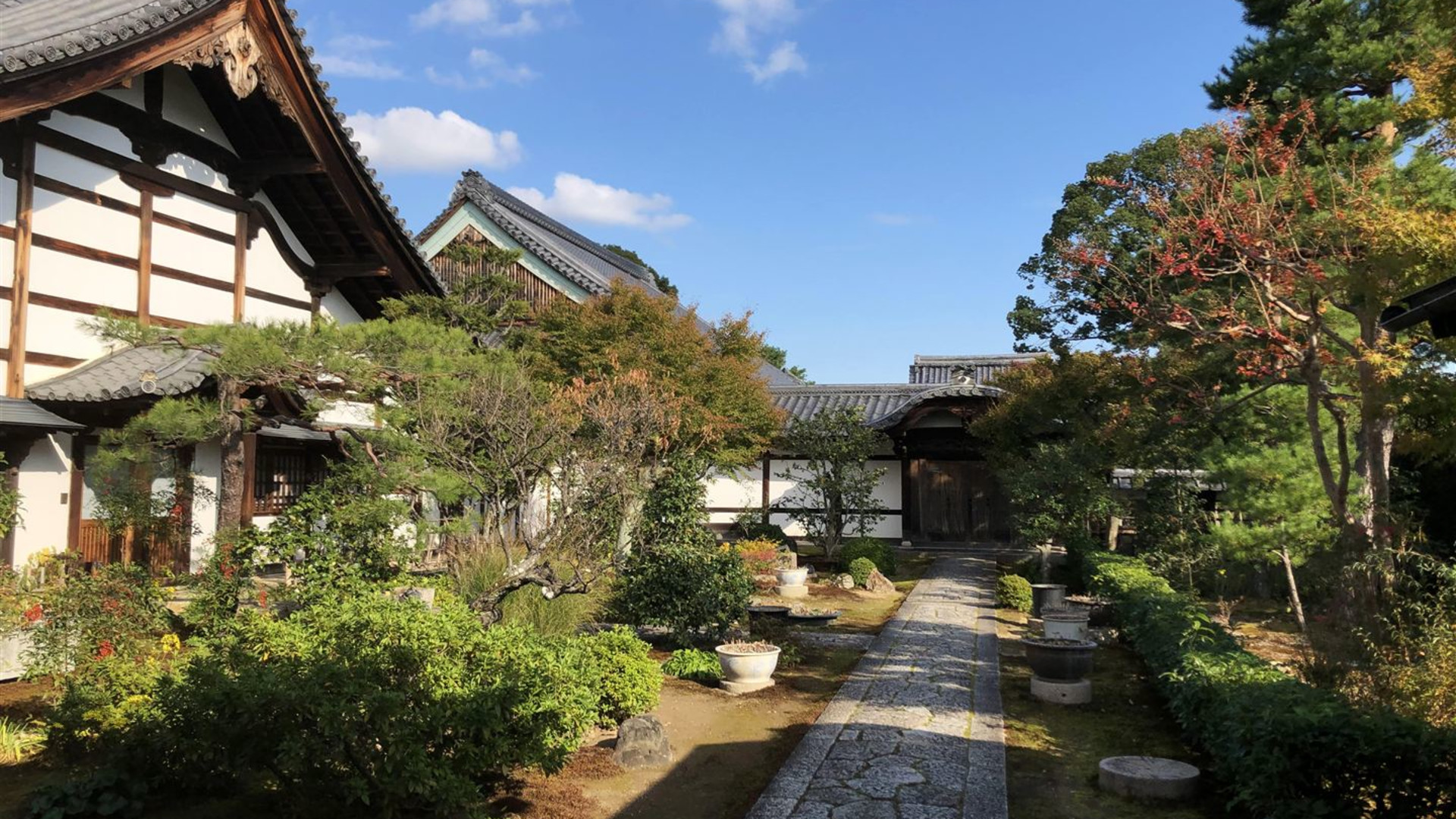 Japan im Alleingang