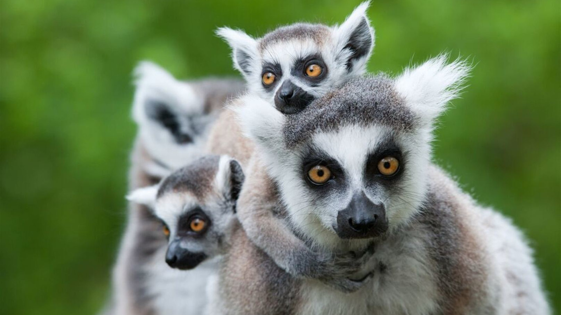 Madagascar Adventure