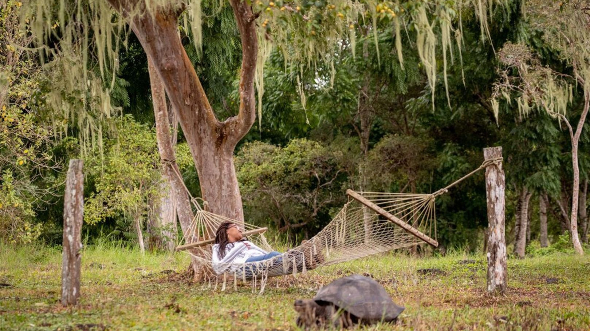 Galapagos Explorer: Southern Islands (Grand Queen Beatriz)