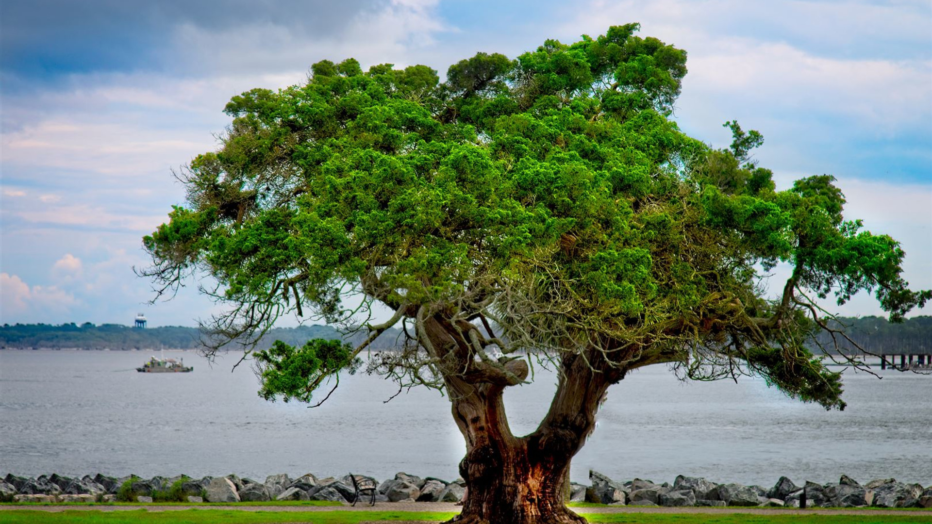 Southern Charm