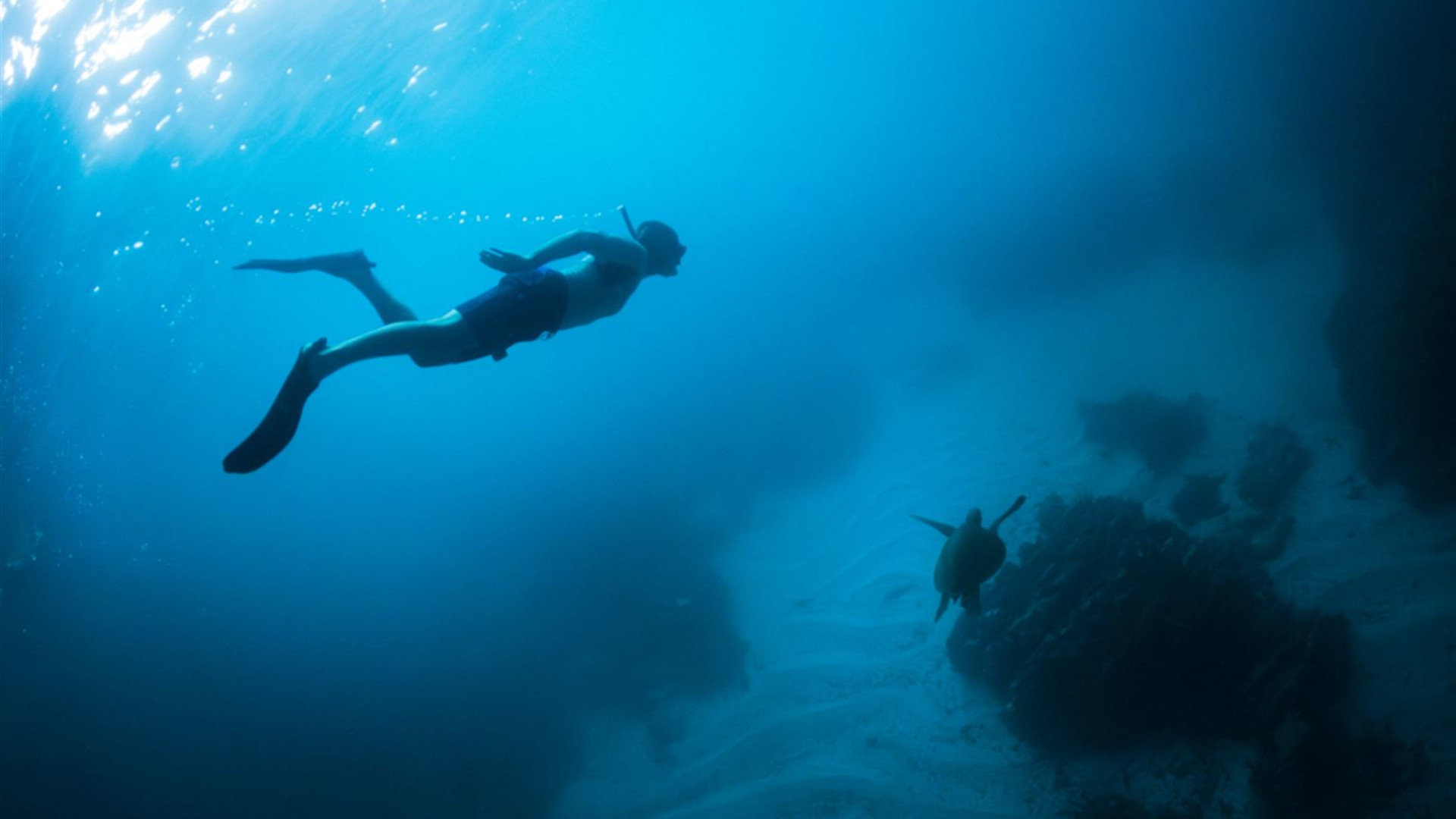 Galapagos Cruise & Peru in Depth (Grand Queen Beatriz)