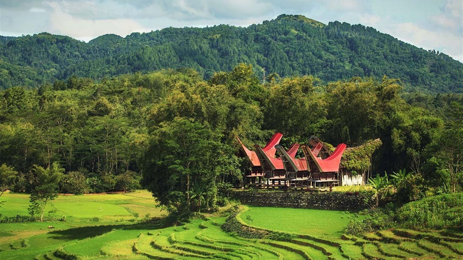 Indonesia Expedition: Sulawesi & Toraja Tribes
