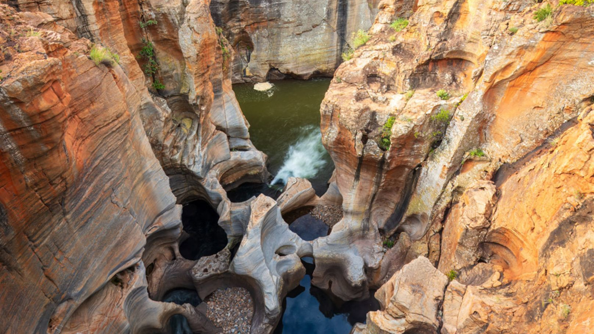 Southern Africa Highlights