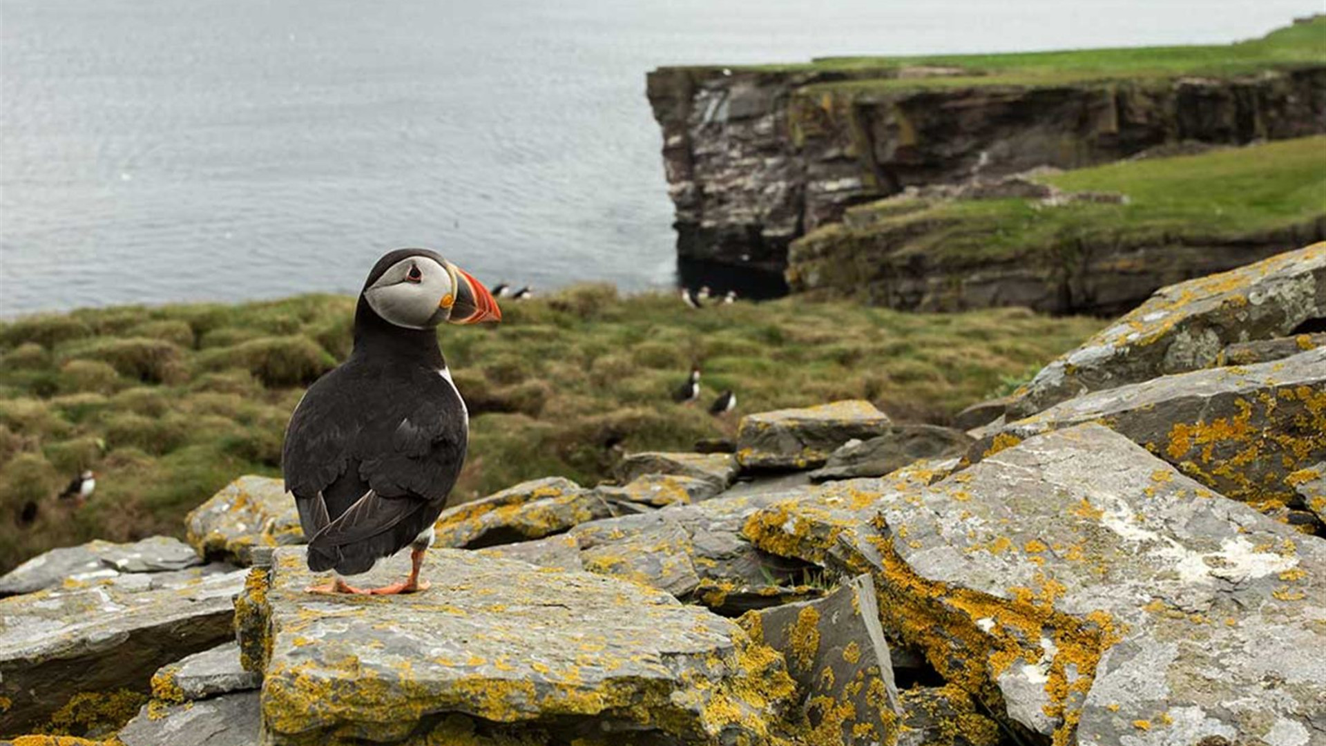 Arctic Saga: Exploring Spitsbergen via the Faroes and Jan Mayen