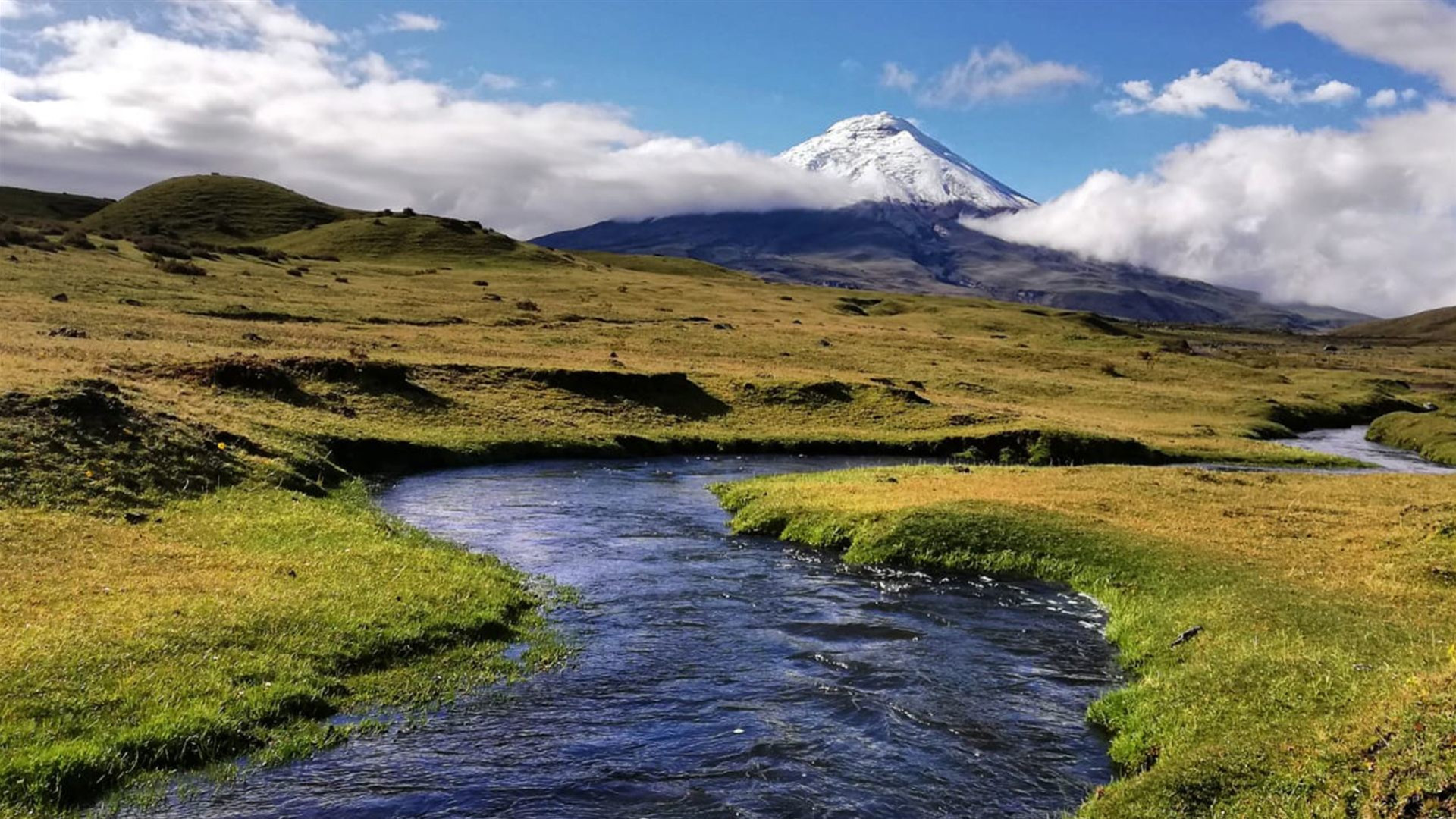 Reisen: Ecuadors Amazonas und Vulkane