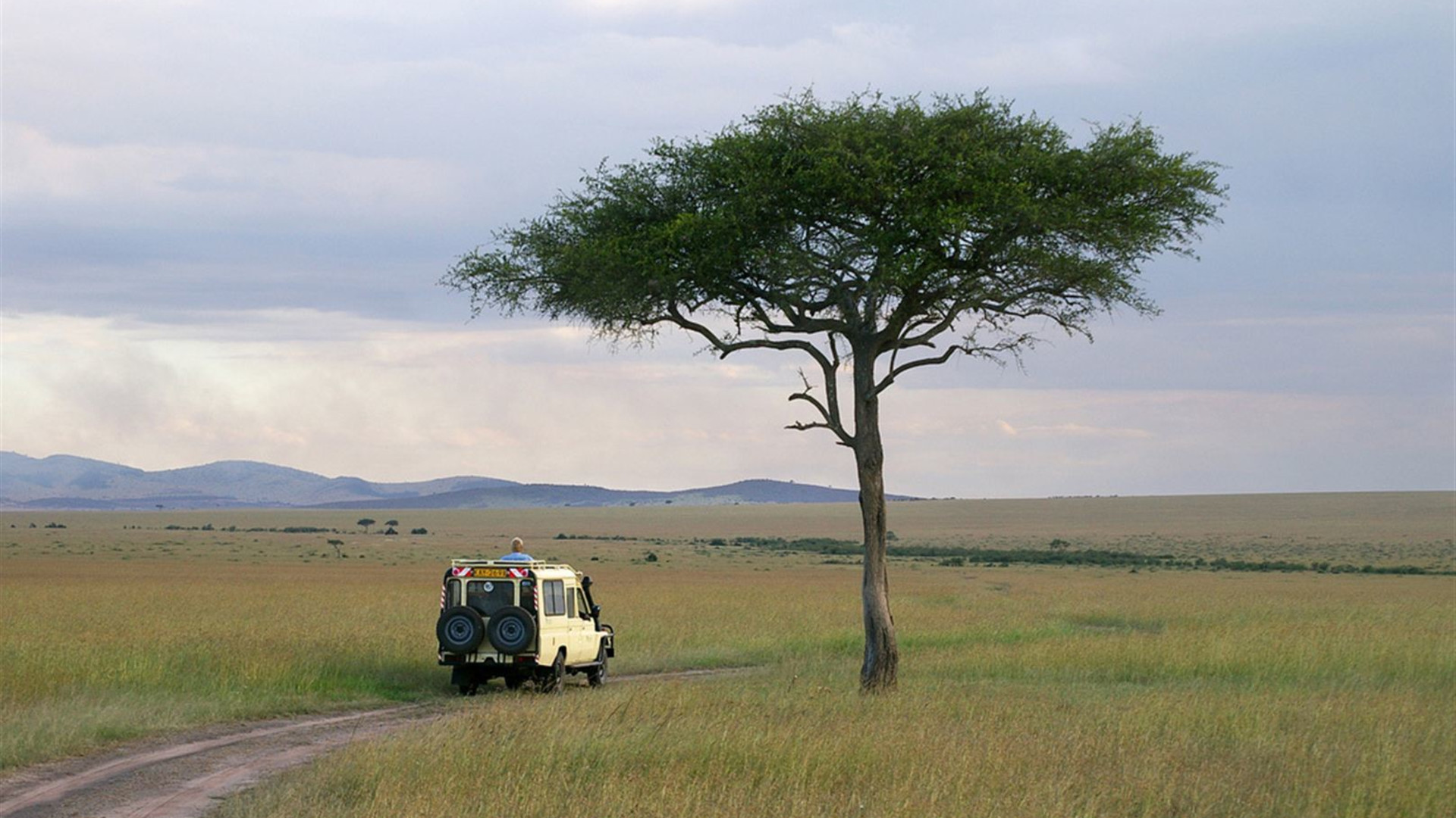 Premium Kenya & Southern Africa Highlights