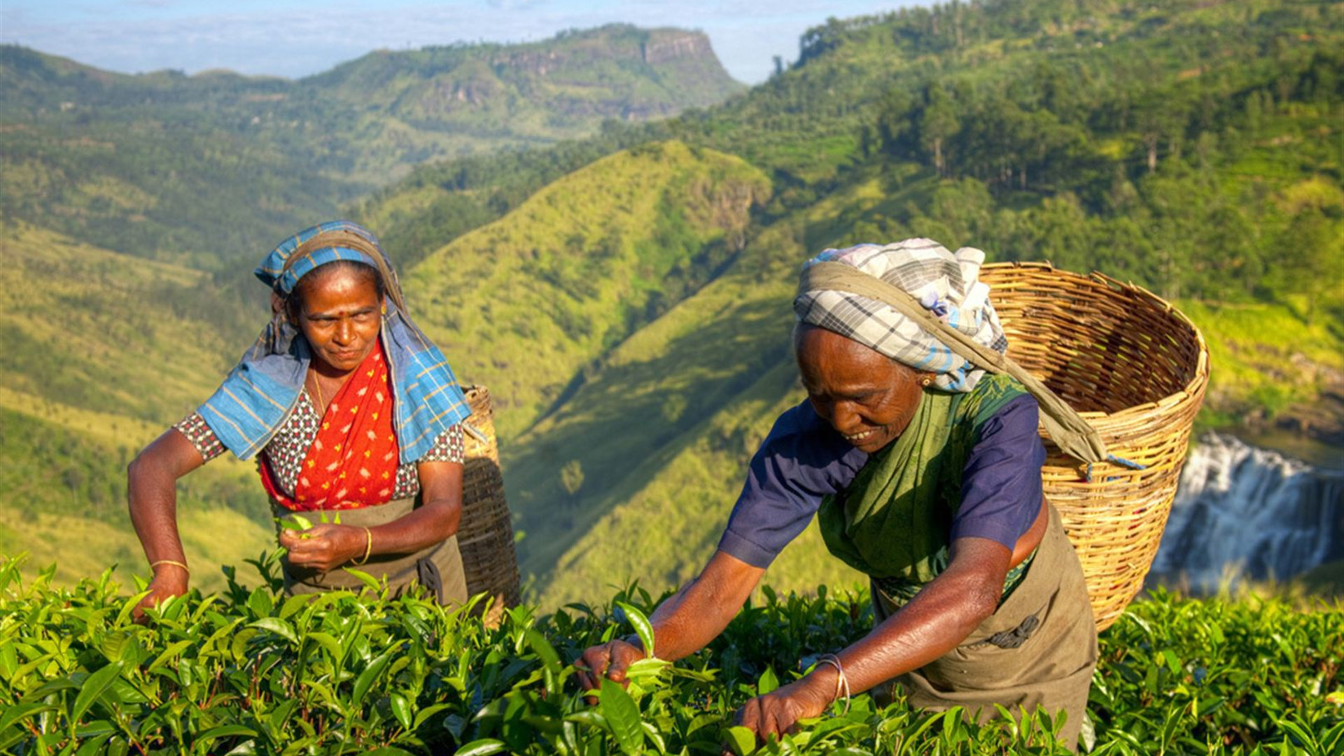 Premium Sri Lanka 