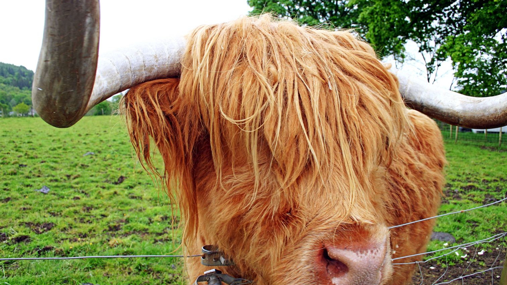 Discover Scotland