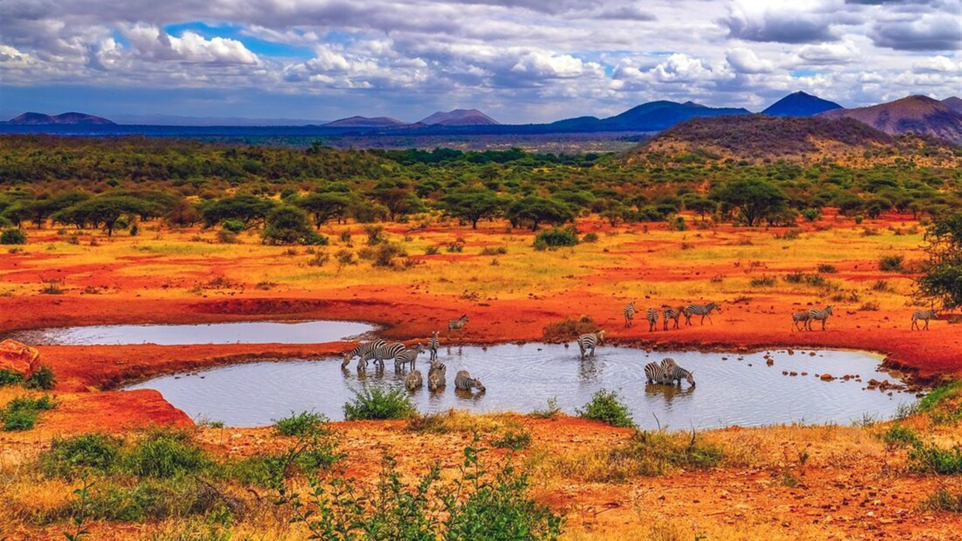 Kenya by Rail: Trains, Safaris & Beaches 
