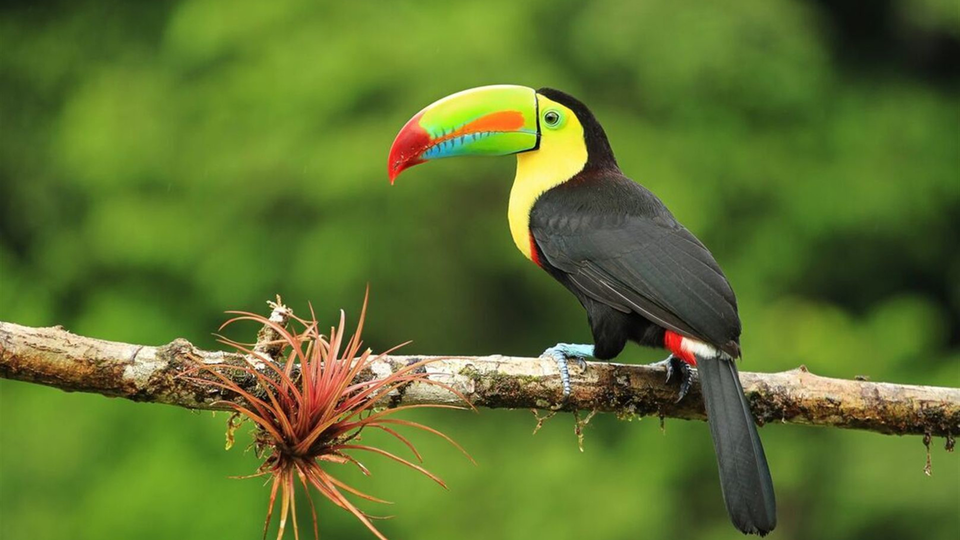 Central American Adventure