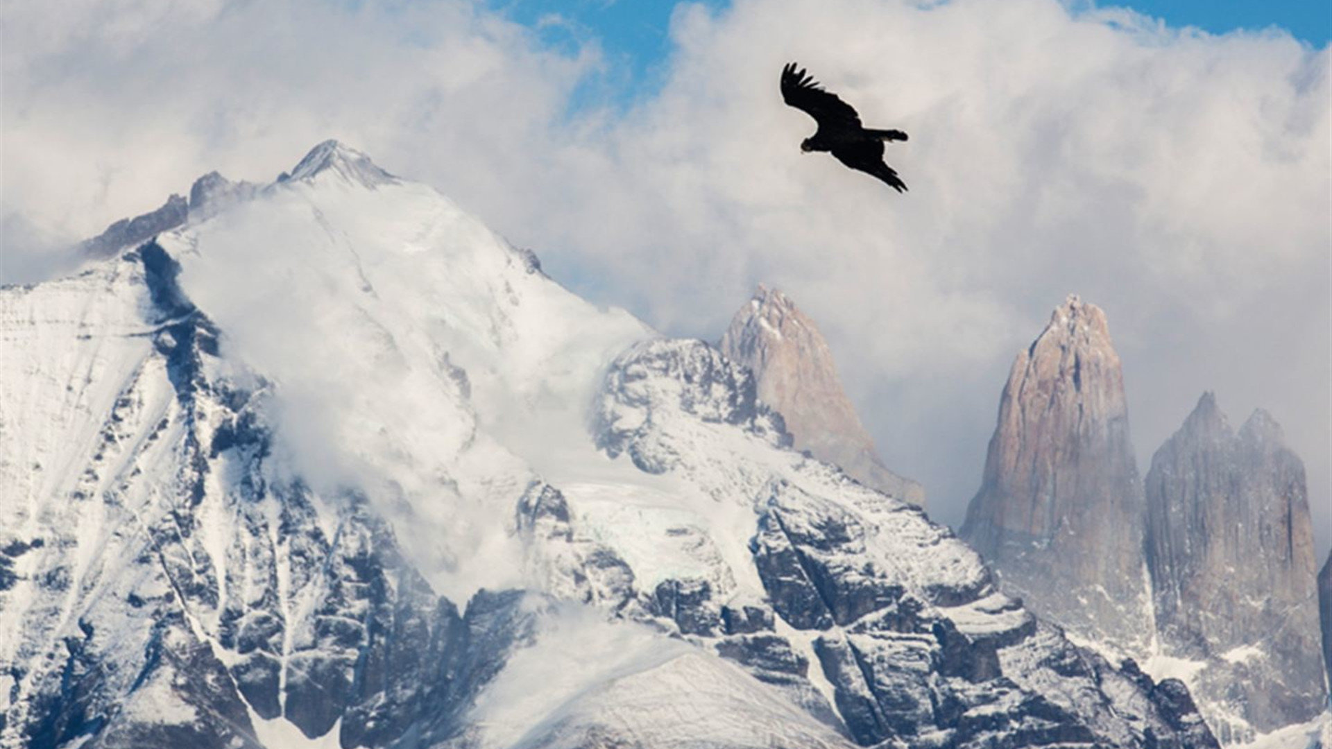 Torres del Paine - Rundwanderung