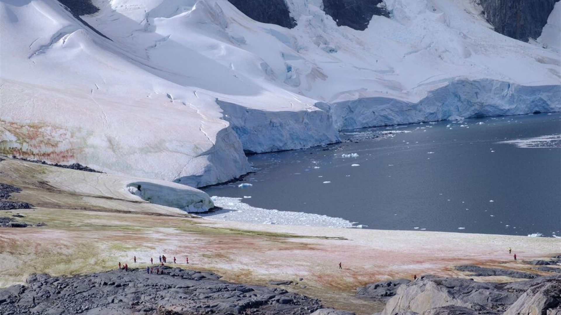 Ultimate Antarctic Circle Crossing (Ocean Albatros)