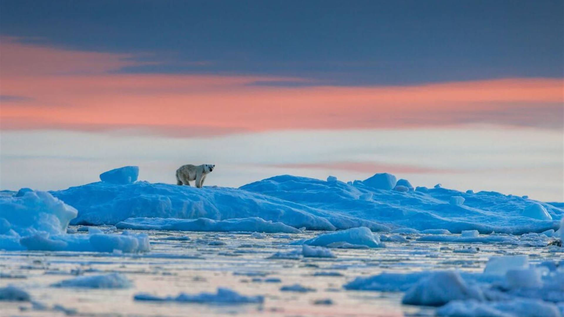 Four Arctic Islands (Ocean Albatros) 