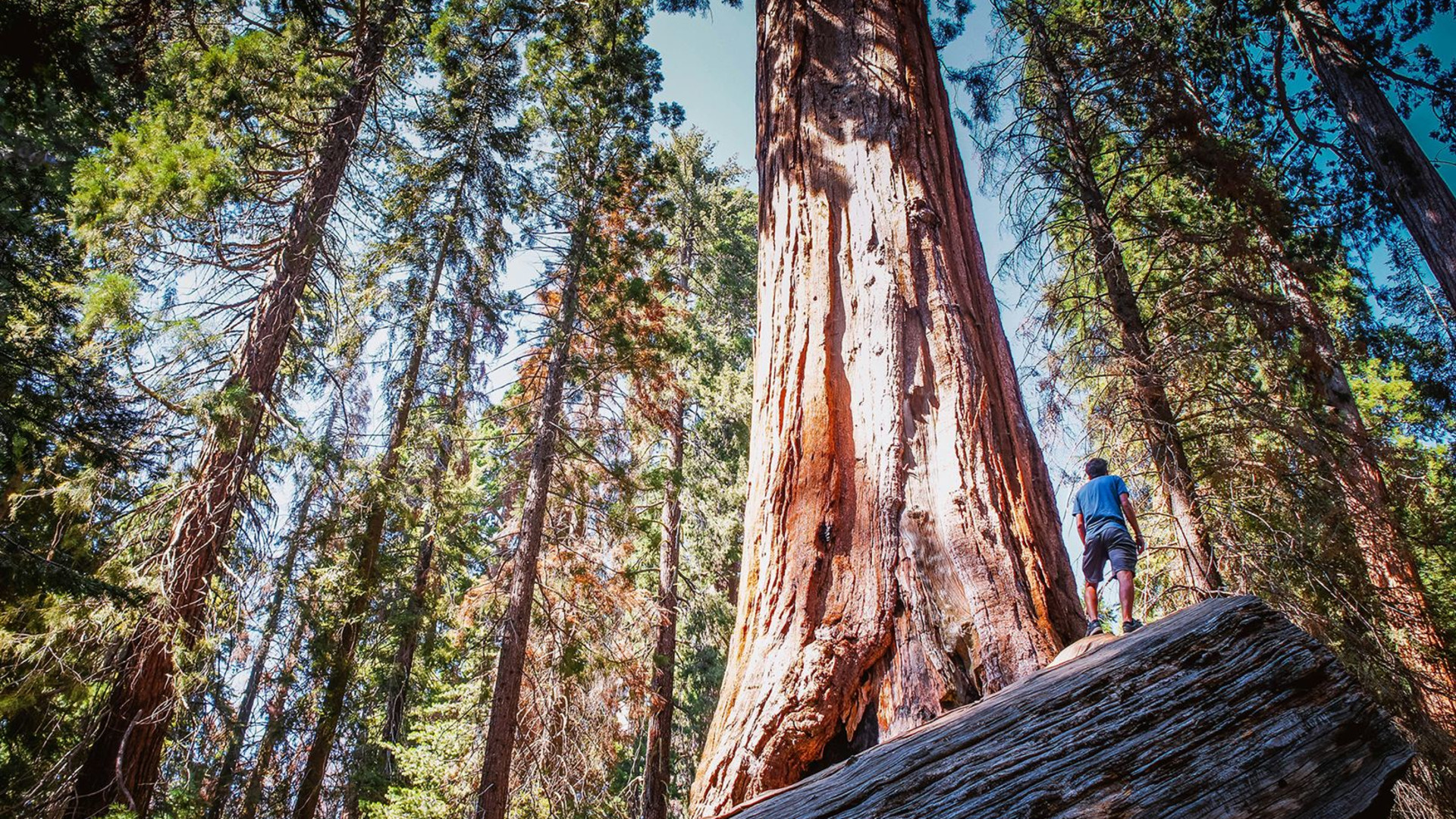 Pacific Northwest & California