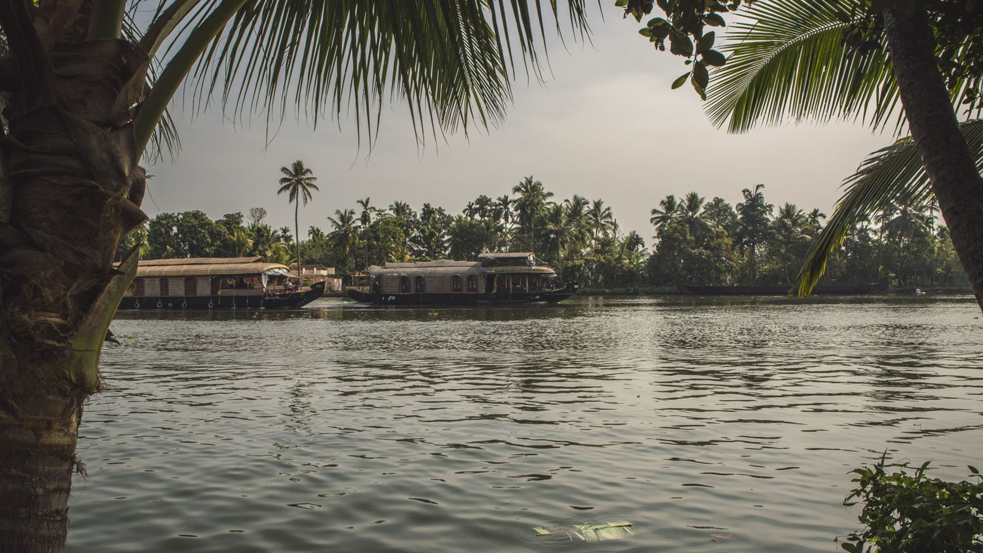 Entdecke Kerala & Sri Lanka – Aschrams & Ayurveda