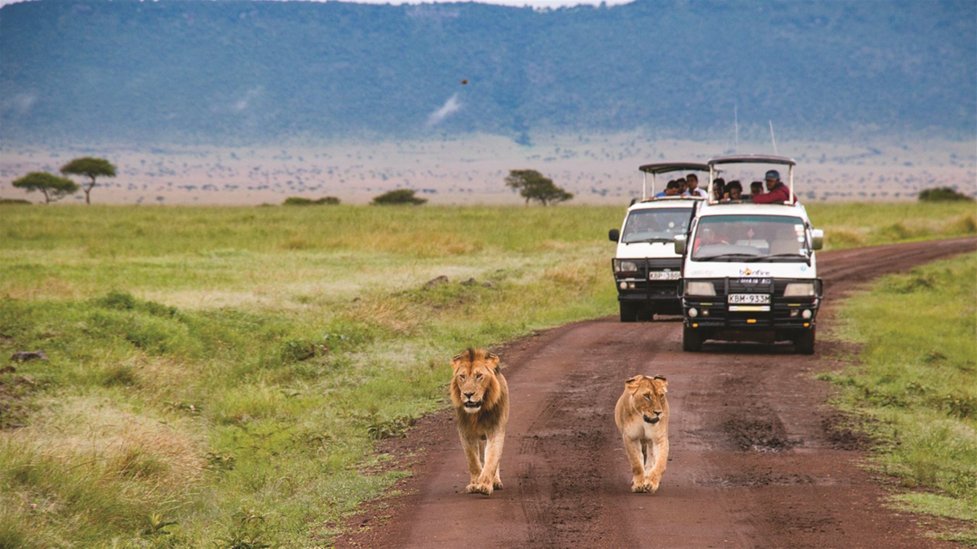 African Safari: Kenya & Tanzania