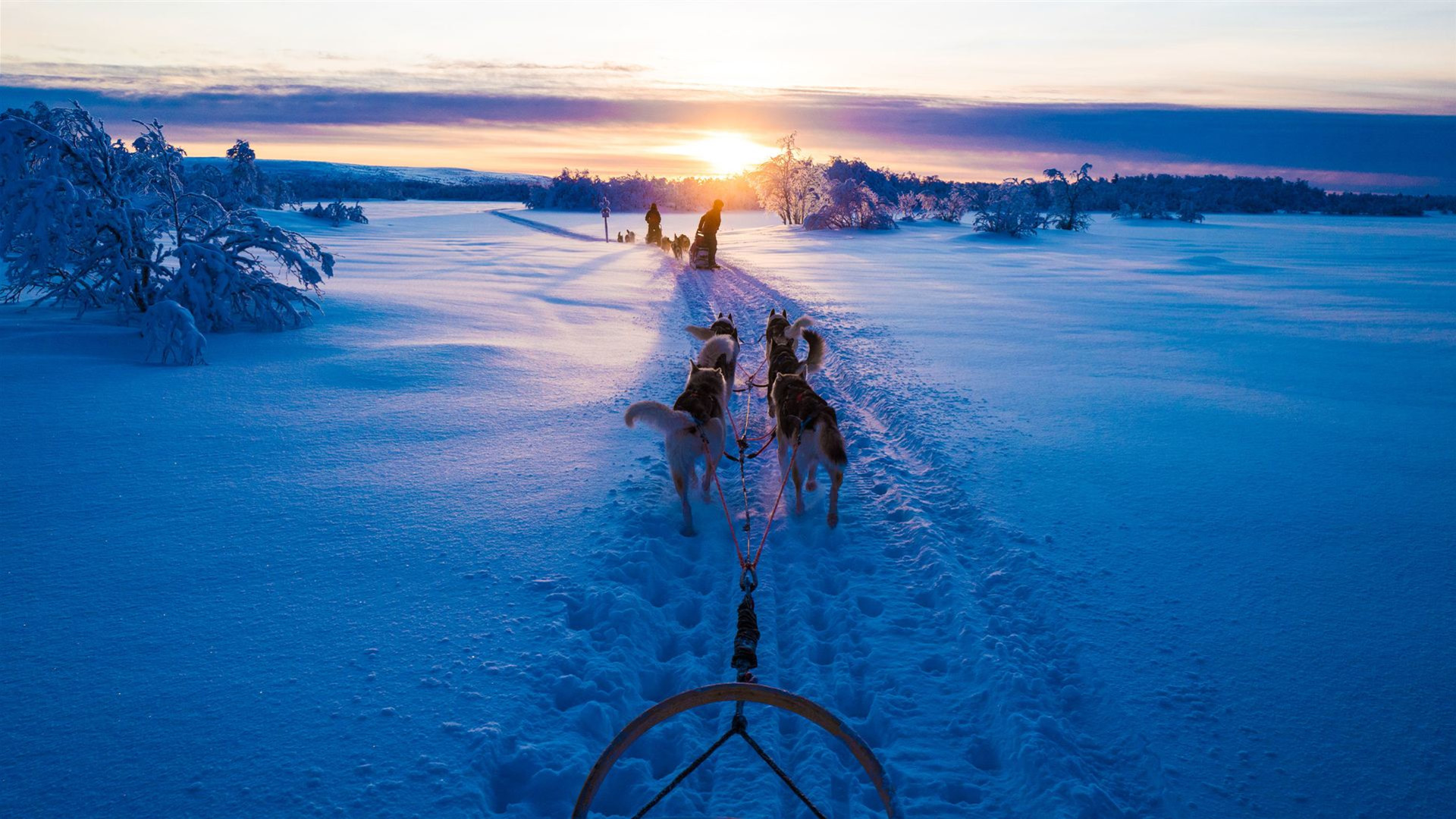 Winter in Finnland –  Lappland & Nordlichter