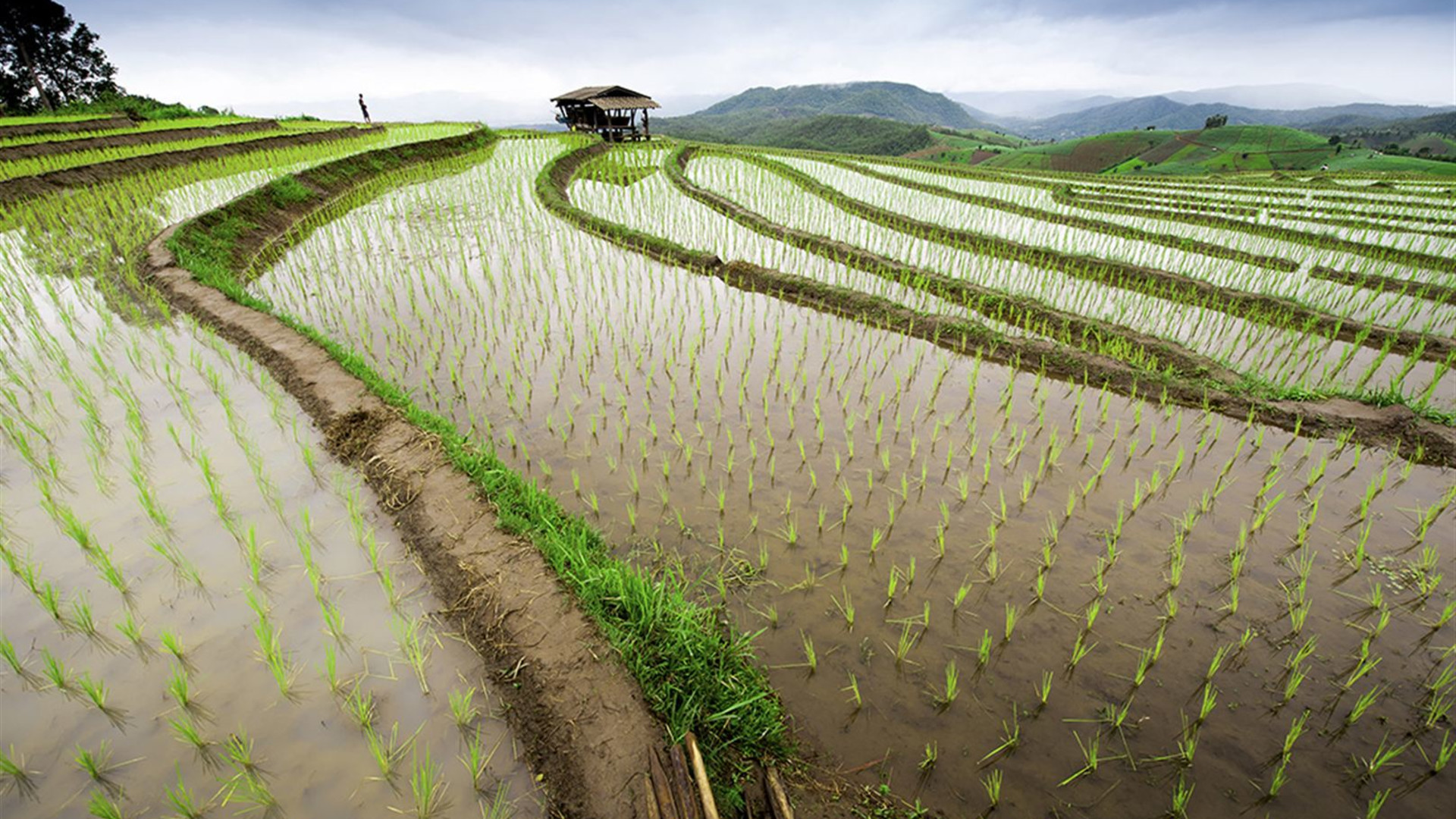 South East Asia Adventure