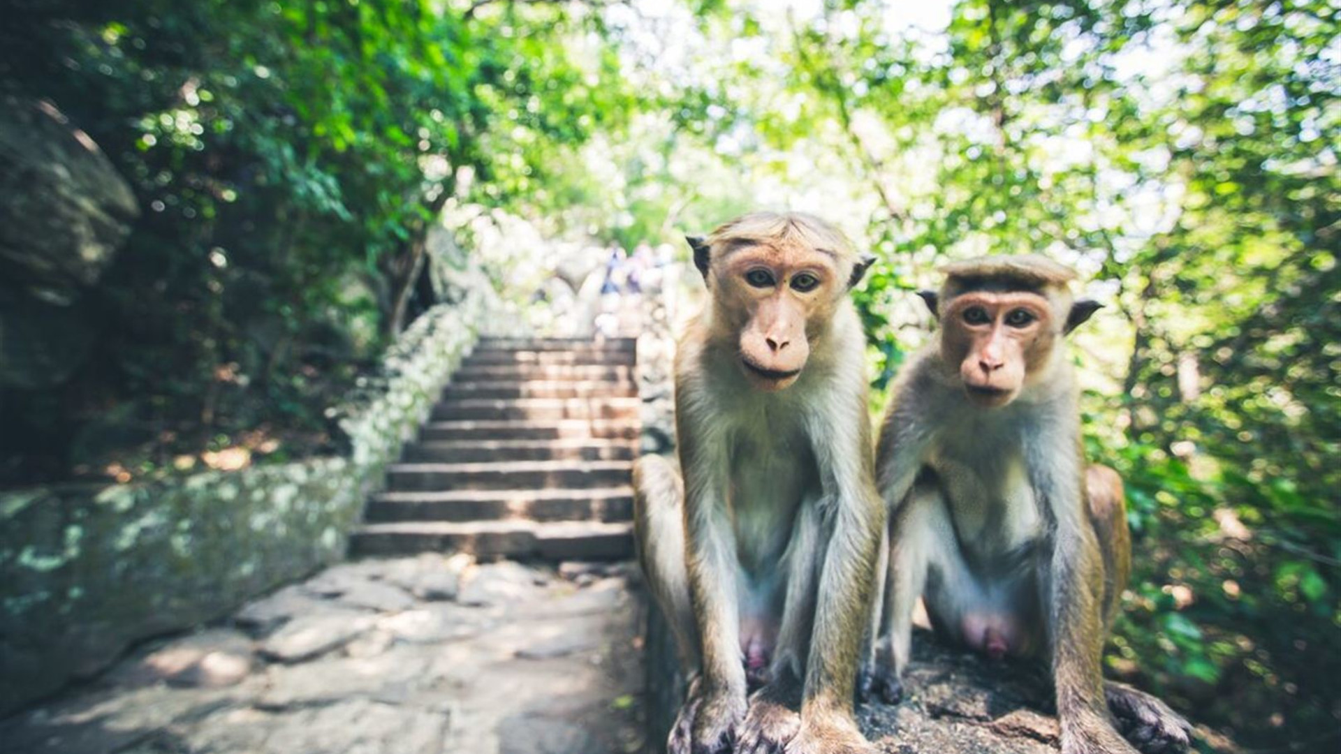 Sri Lanka Family Holiday 