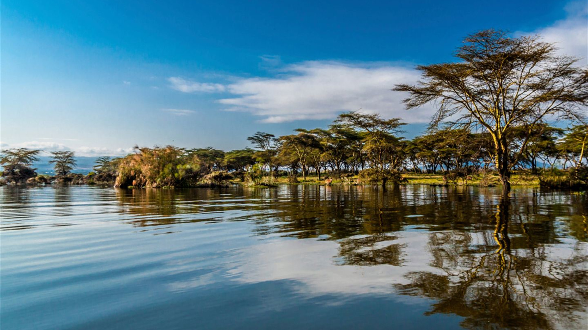 Reisen: Safari in Kenia