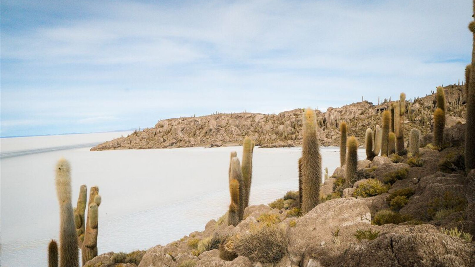 Bolivia Highlights