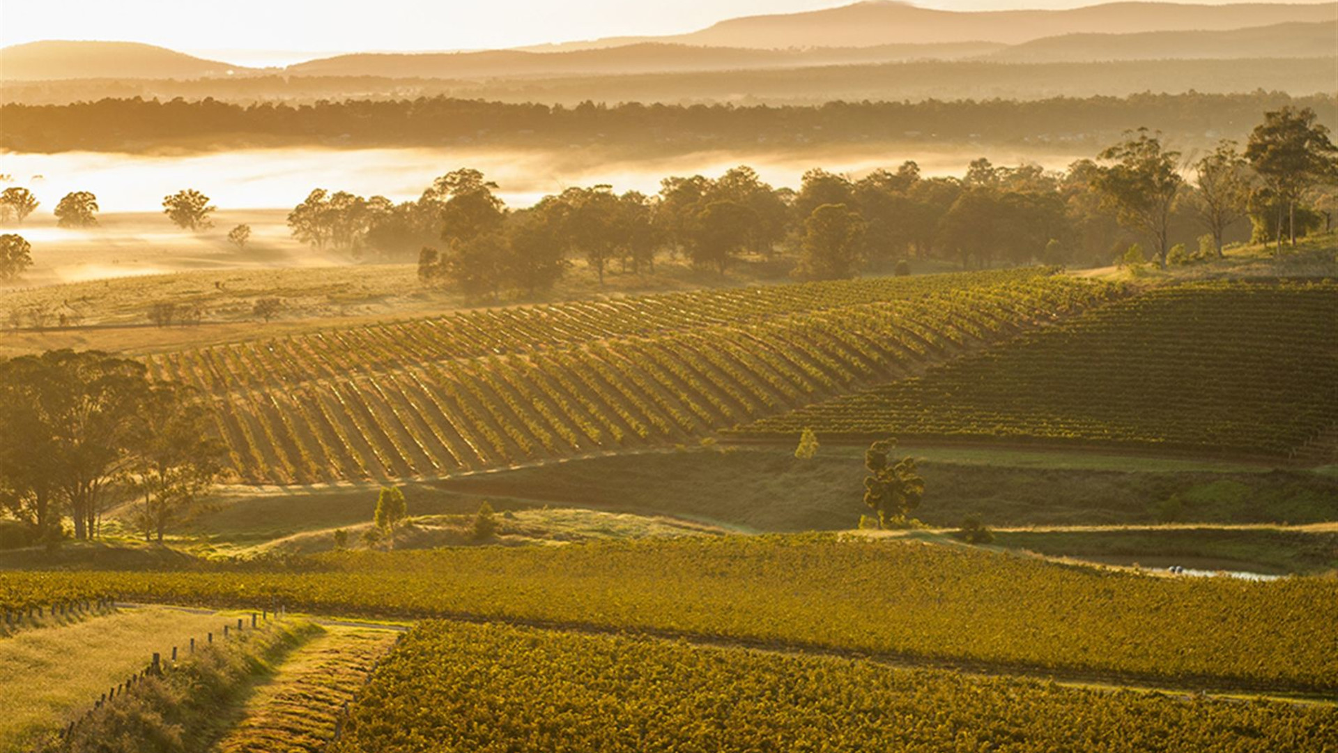 Melbourne to Brisbane Adventure