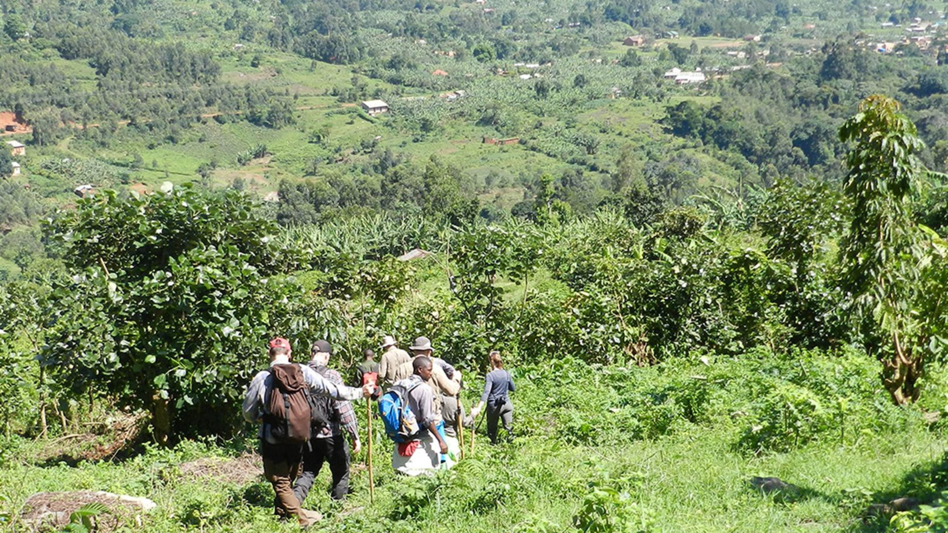 Remarkable Rwanda & Gorillas of Uganda