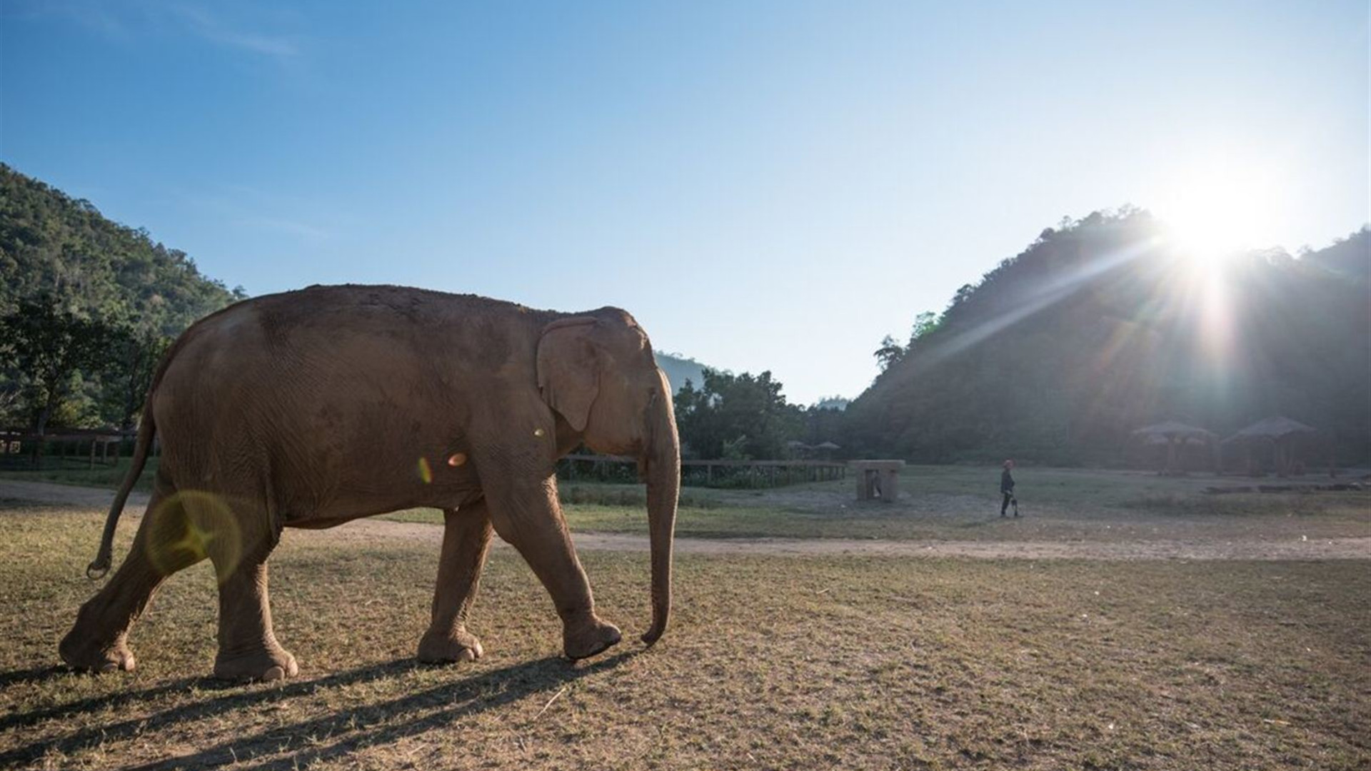 Thailand & Laos Adventure