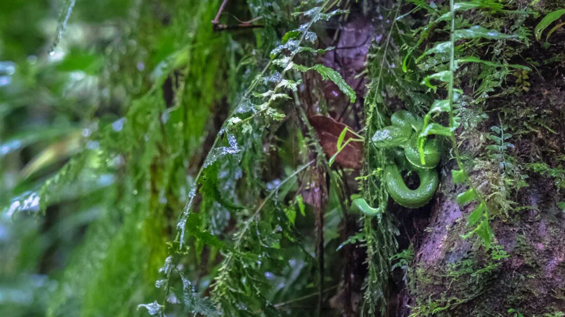 Costa Rica Family Holiday