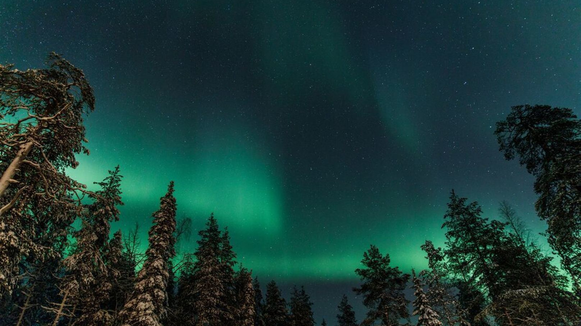 Finnish Lapland in Winter