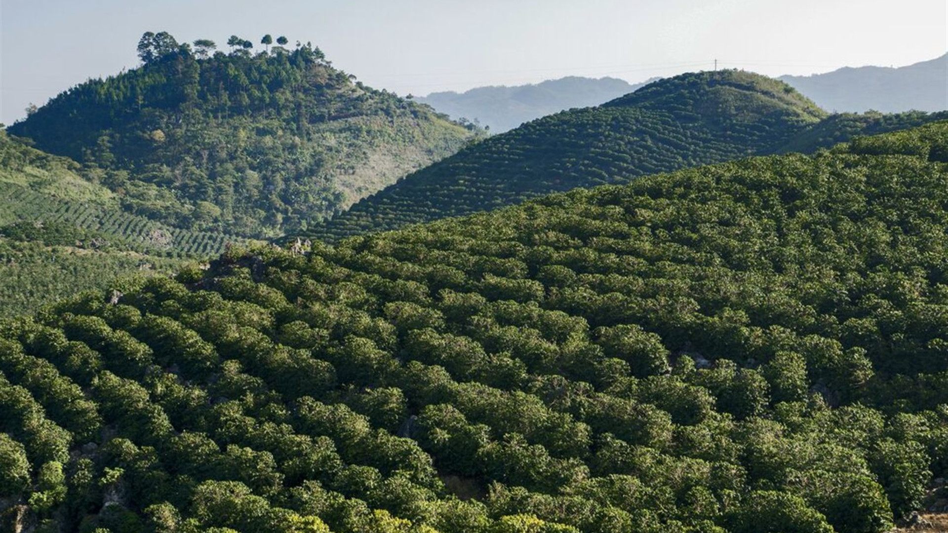 Central America: Hike, Bike & Kayak