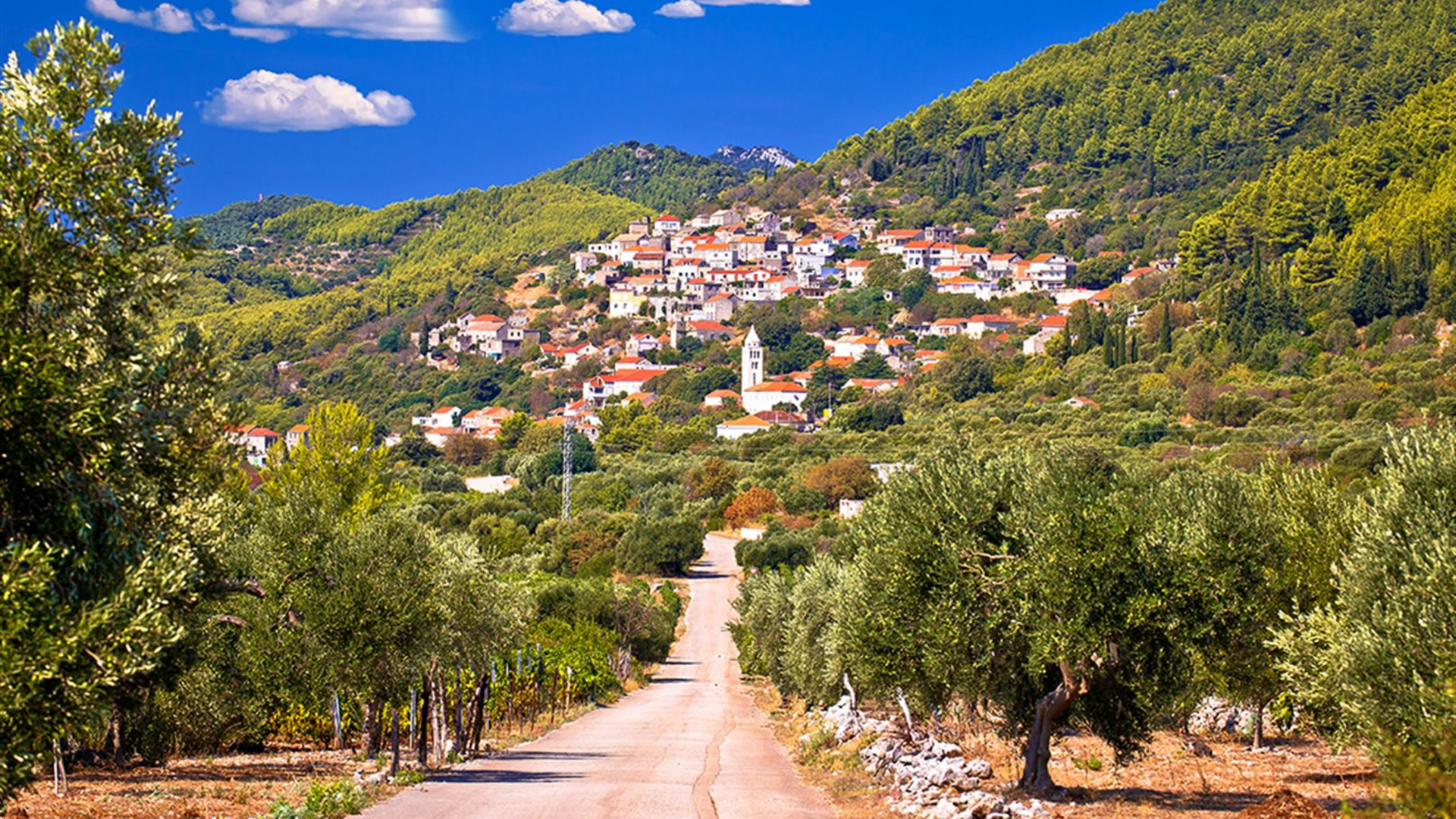 Premium Split to Dubrovnik