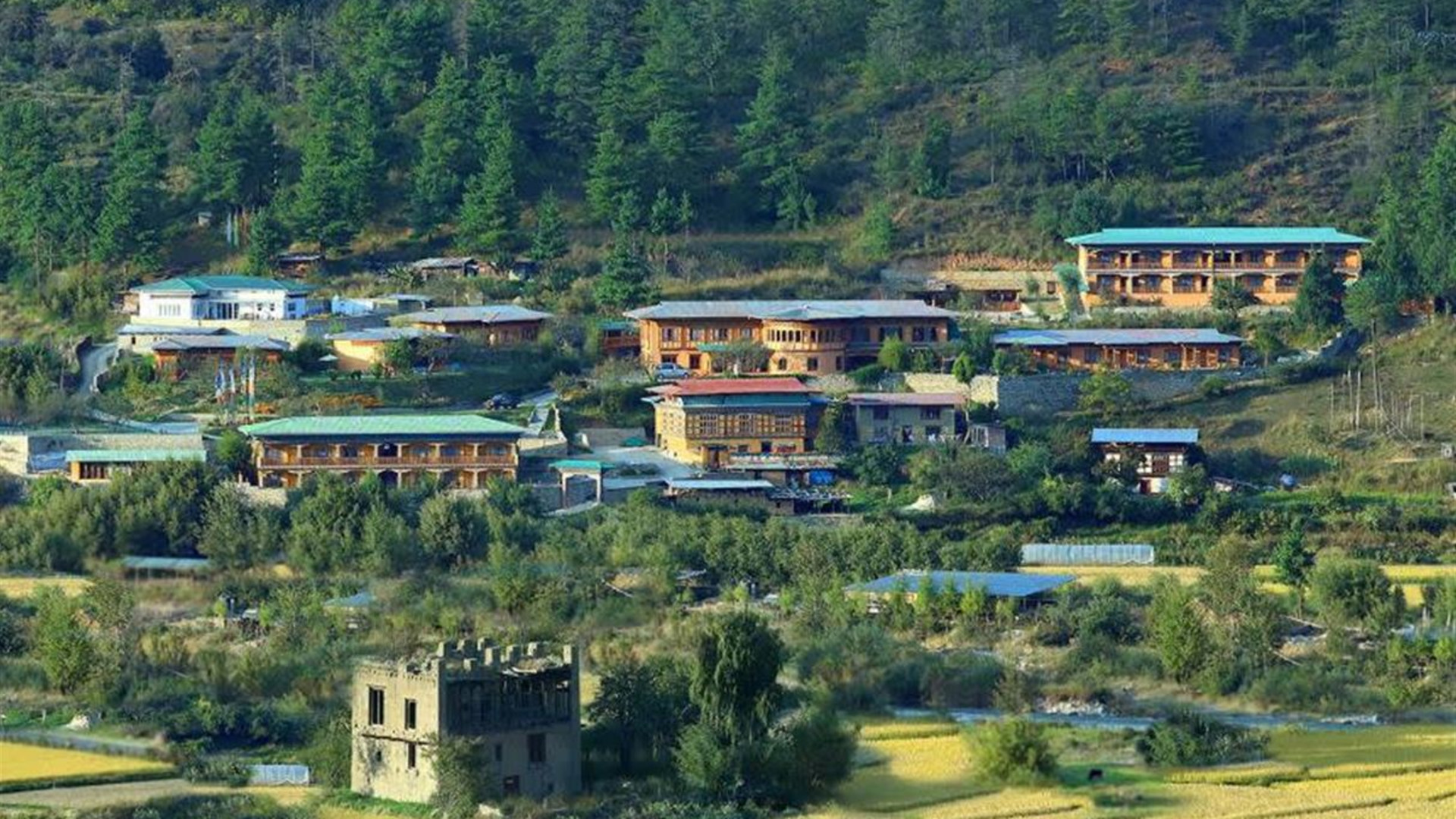 Festivals of Bhutan – Black Crane