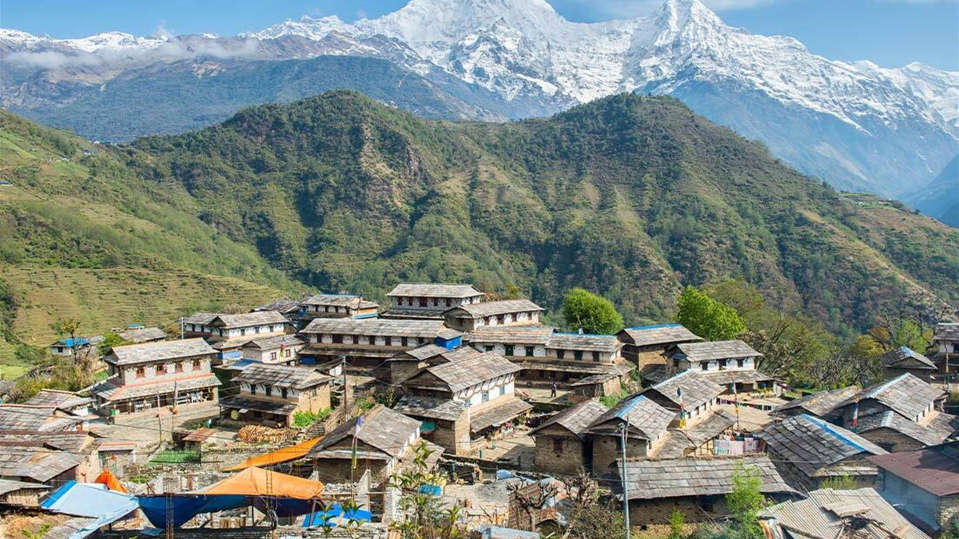 Essential Nepal