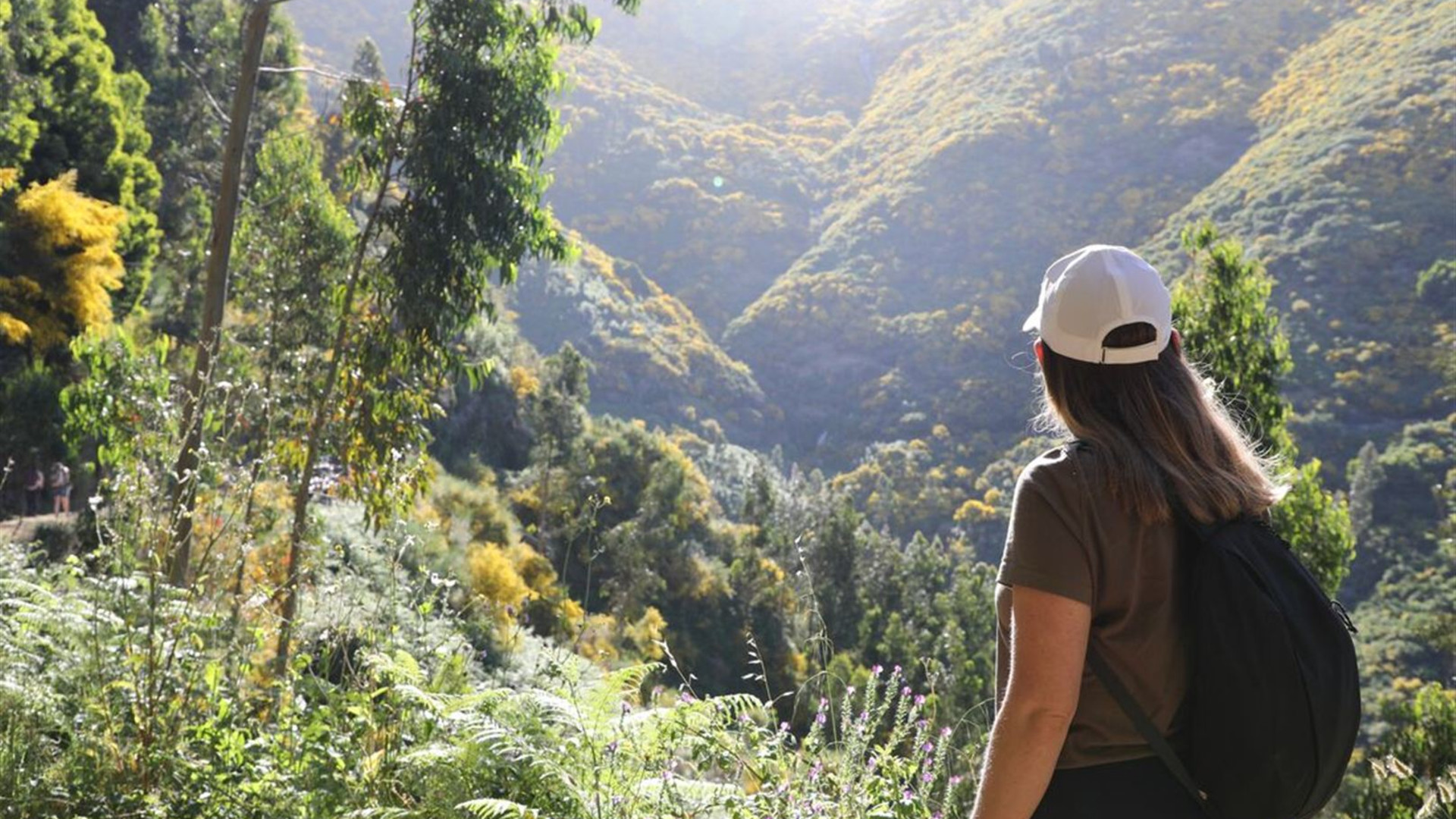 Hiking in Madeira	