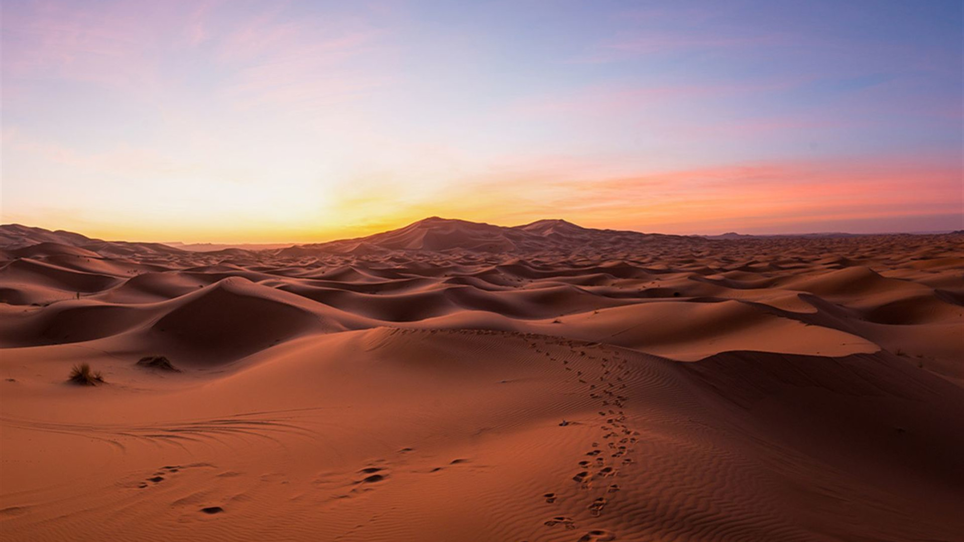 Morocco Short Break: Marrakech to the Sahara