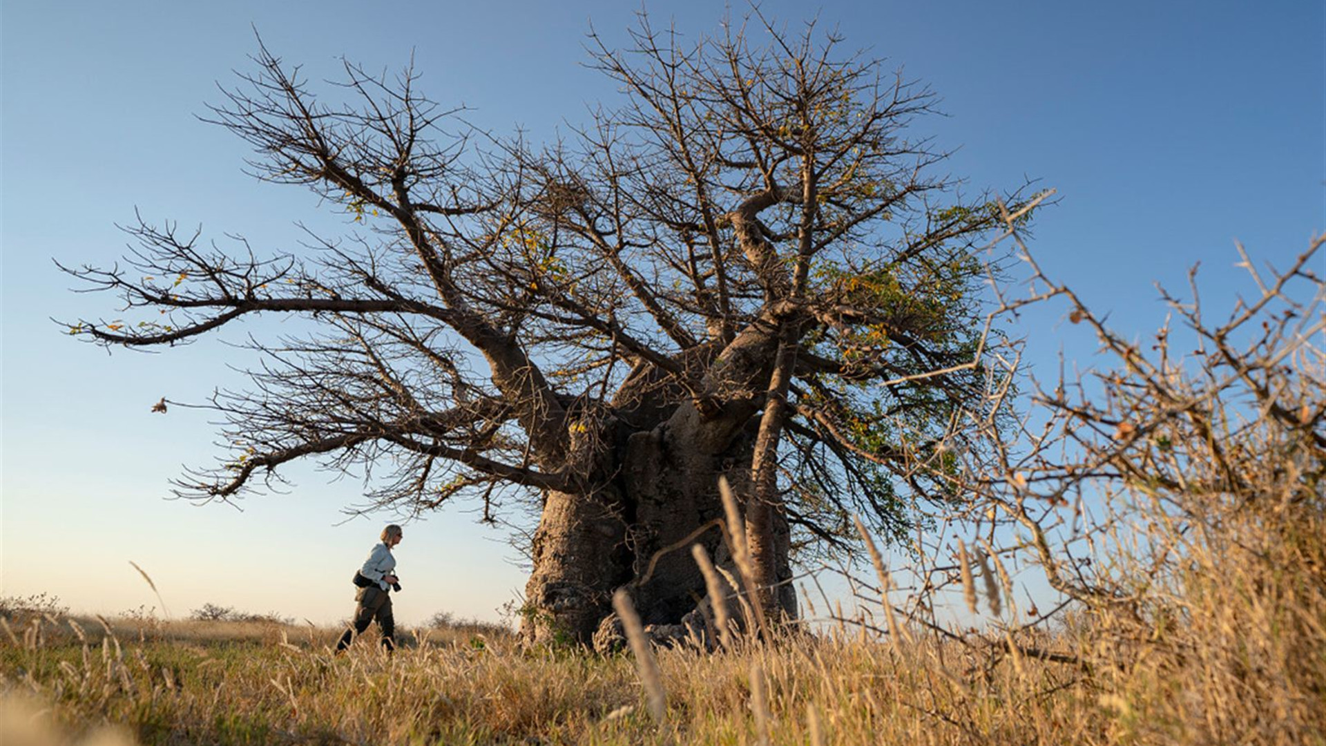 Africa Encompassed Southbound